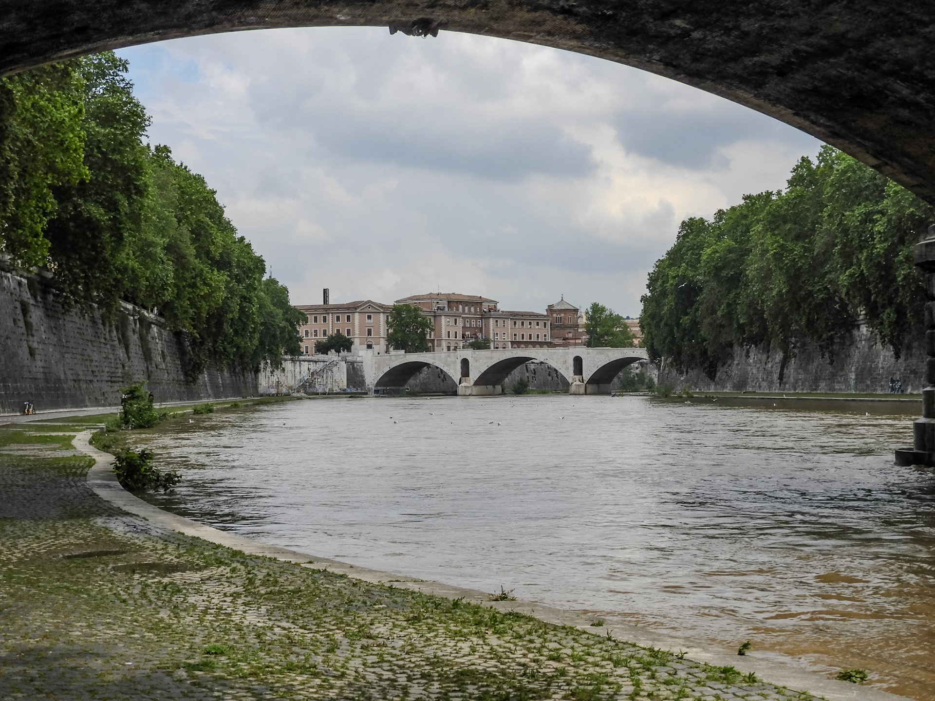2018-05-10 11:57:21__f/4.2_1/1000 sec_Pista ciclabile del Tevere_Rome_Italy_41°53'43.9152" N 12°27'57.438" E