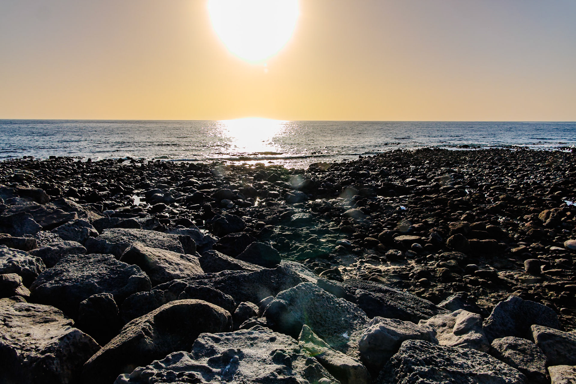 2024-11-29__Canon EOS R3__ RF24-240mm F4-6.3 IS USM__f/22__1/50 sec_________