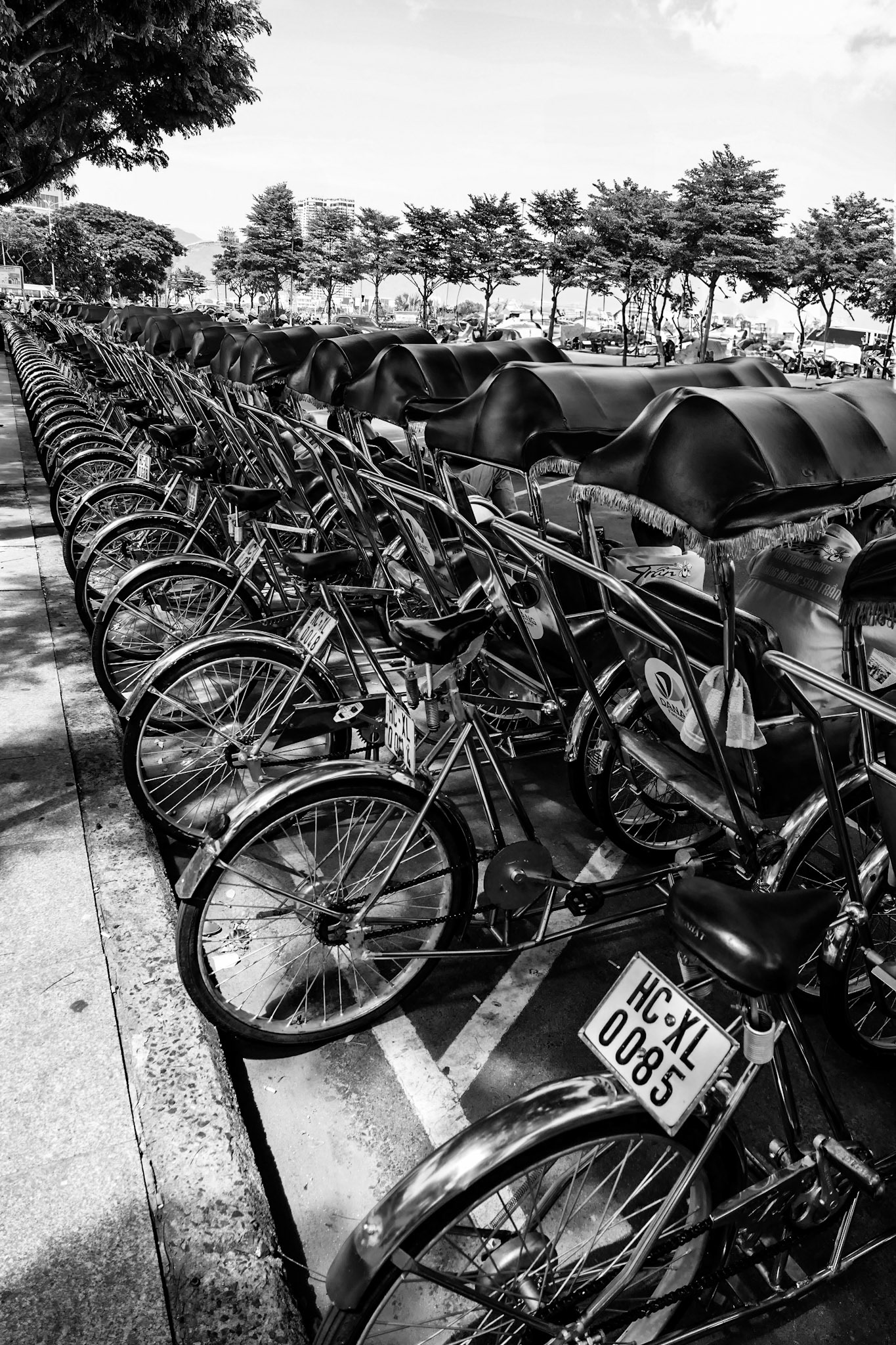 2019-09-17 13:26:25__f/2.8_1/500 sec____