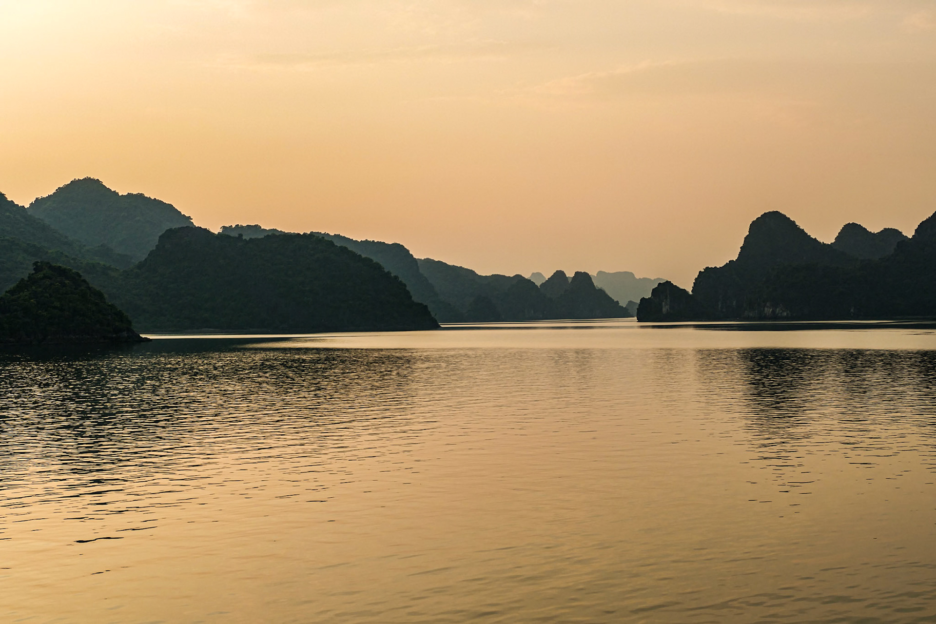 2019-09-05 17:39:07__f/3.6_1/640 sec_