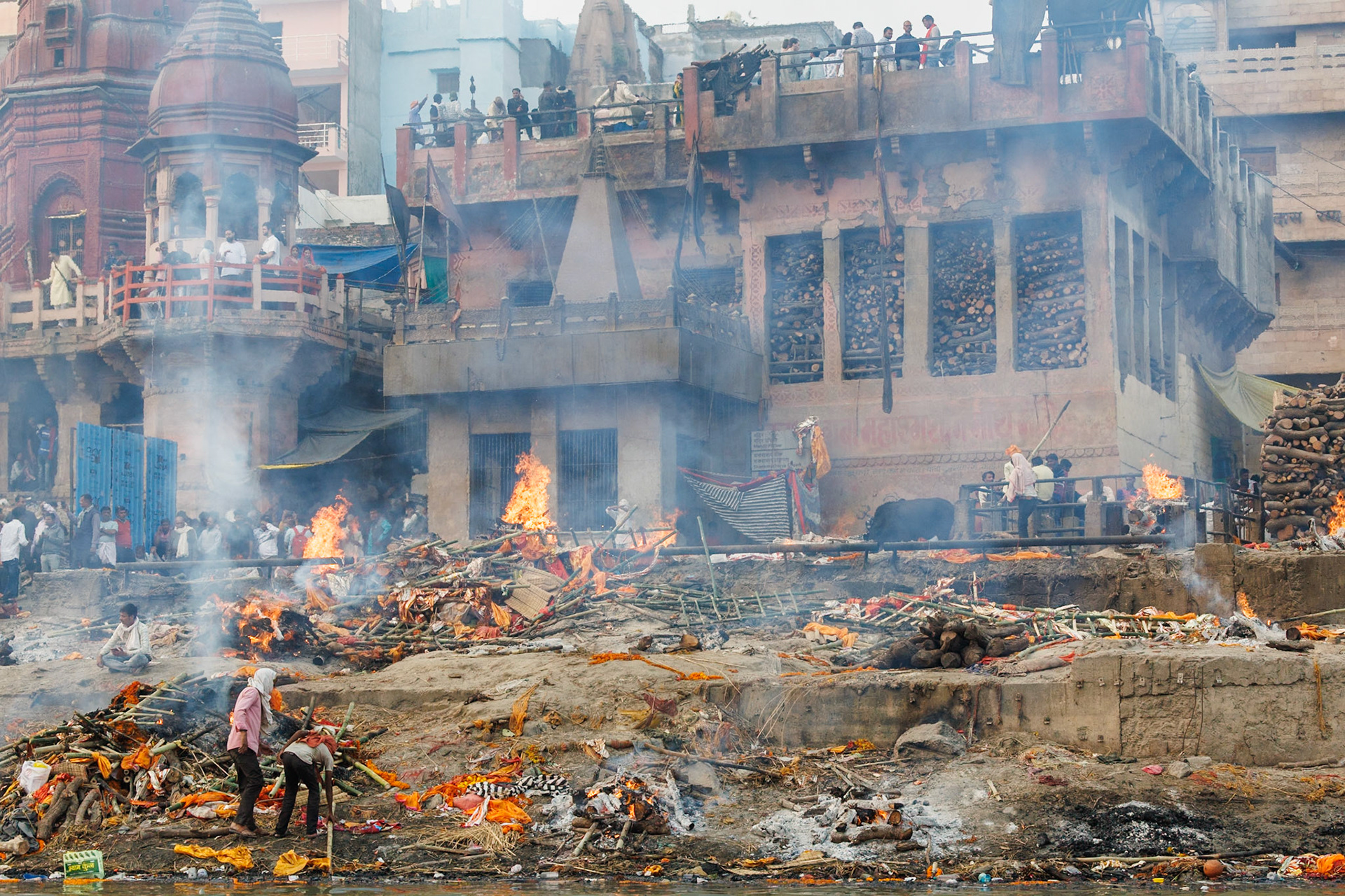 __2025-11-22__Canon__Canon EOS R3__ RF70-200mm F2.8 L IS USM__f/7.1__1/500 sec____Varanasi__India__25°18'41.3892" N 83°0'57.618" E