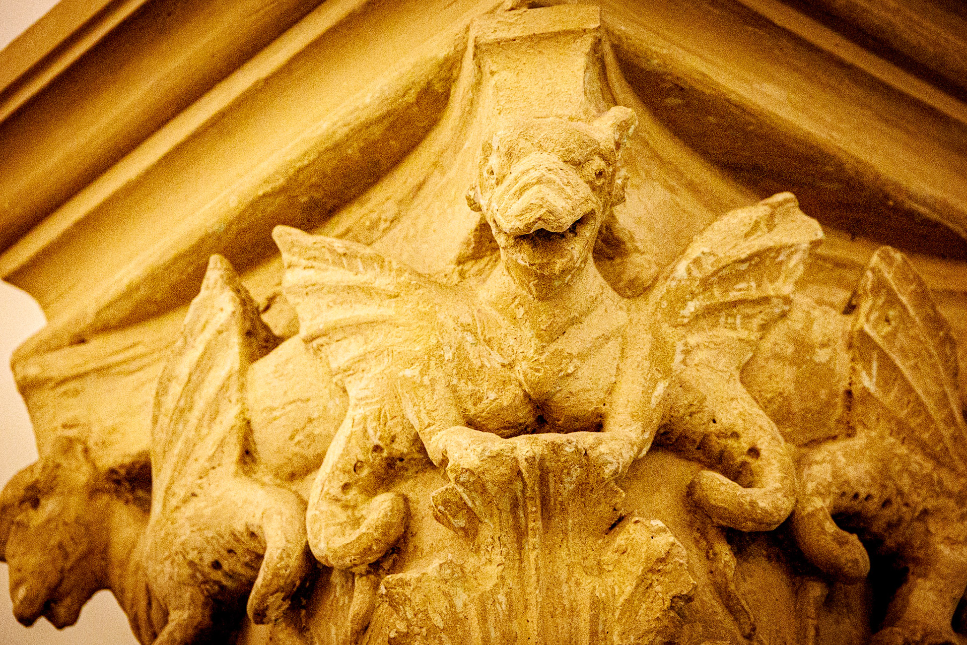 _2024-09-11__Canon__Canon EOS R3__ RF24-240mm F4-6.3 IS USM__f/7.1__1/80 sec________