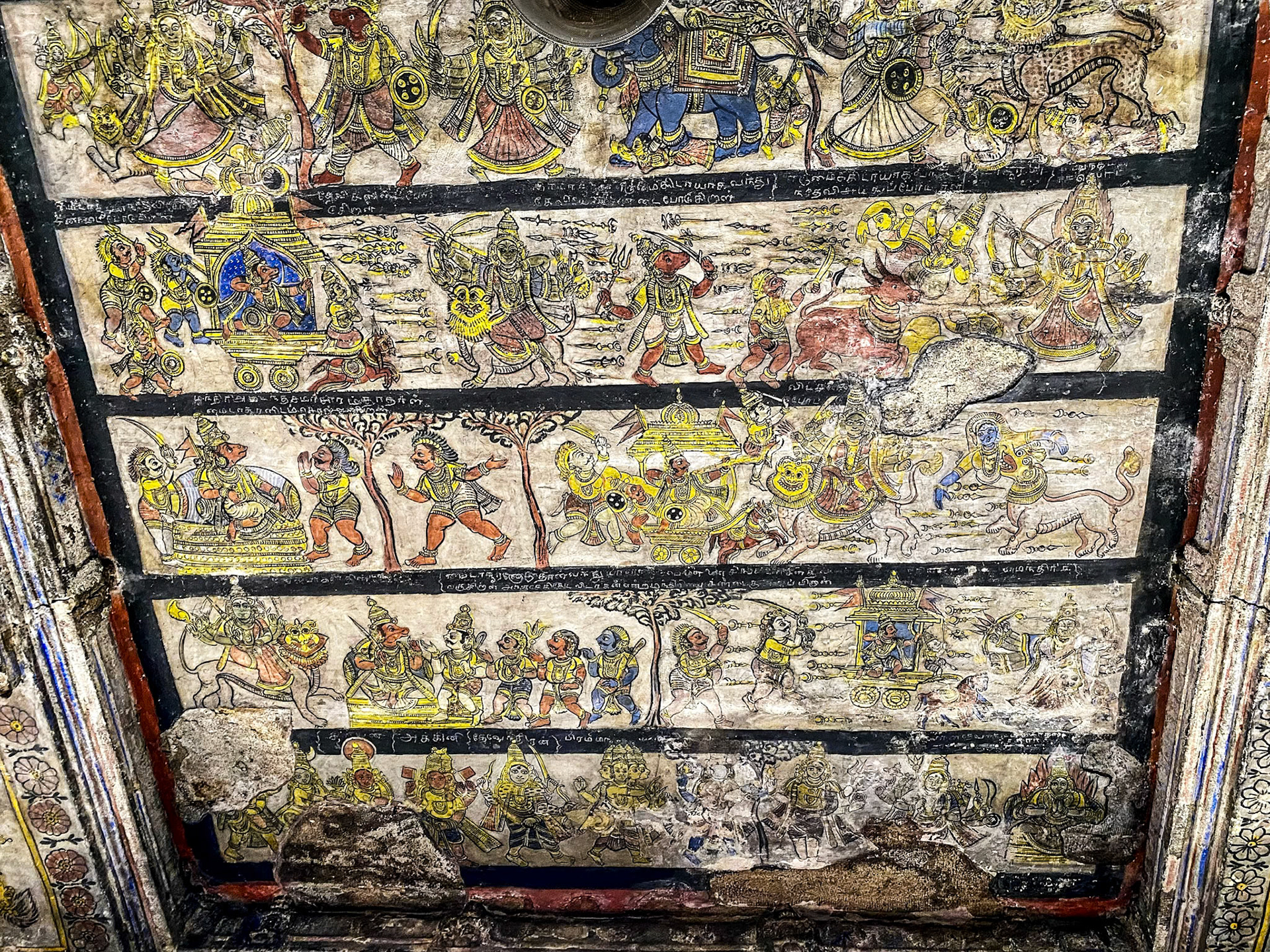 _2022-11-19__iPhone 11 Pro__ iPhone 11 Pro back triple camera 4.25mm f/1.8__f/1.8__1/60 sec_________