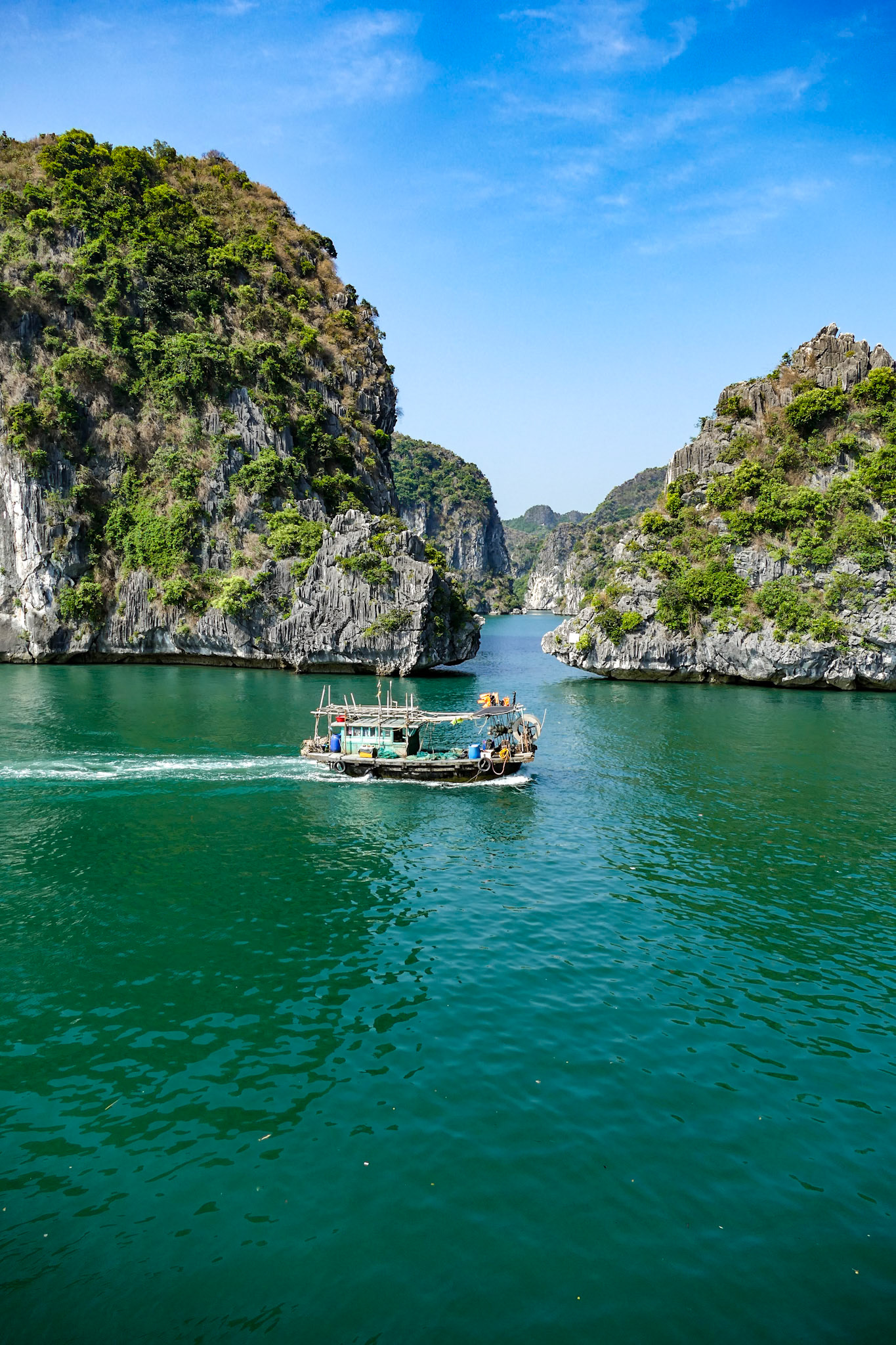 _2019-09-06__Panasonic__DMC-FZ1000__ __f/2.8__1/1250 sec________