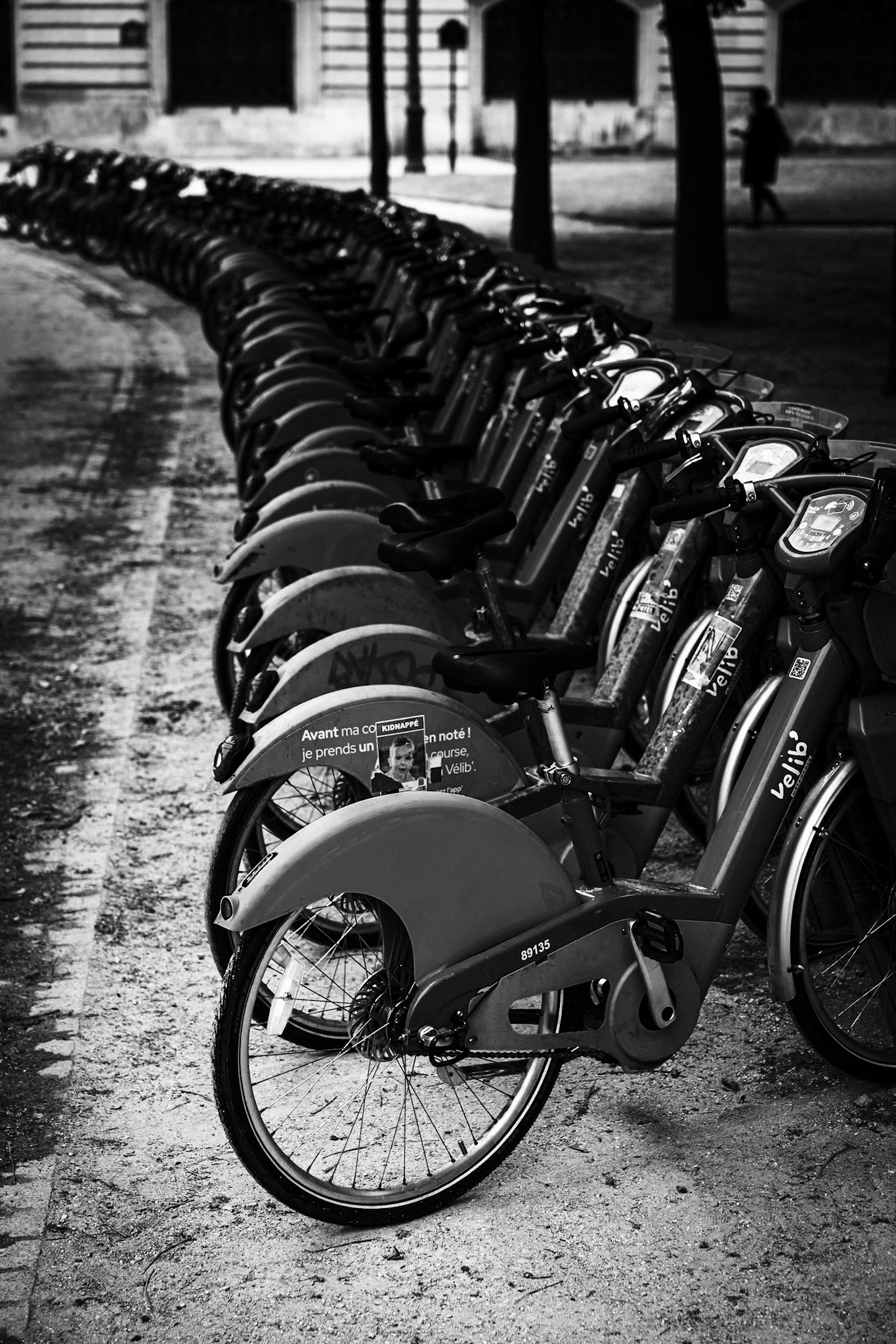 _2025-06-04__Canon__Canon EOS R3__ RF28-70mm F2.8 IS STM__f/4.5__1/200 sec__Quai des Tuileries__Paris__France__48°52'1.5492" N 2°18'57.8988" E