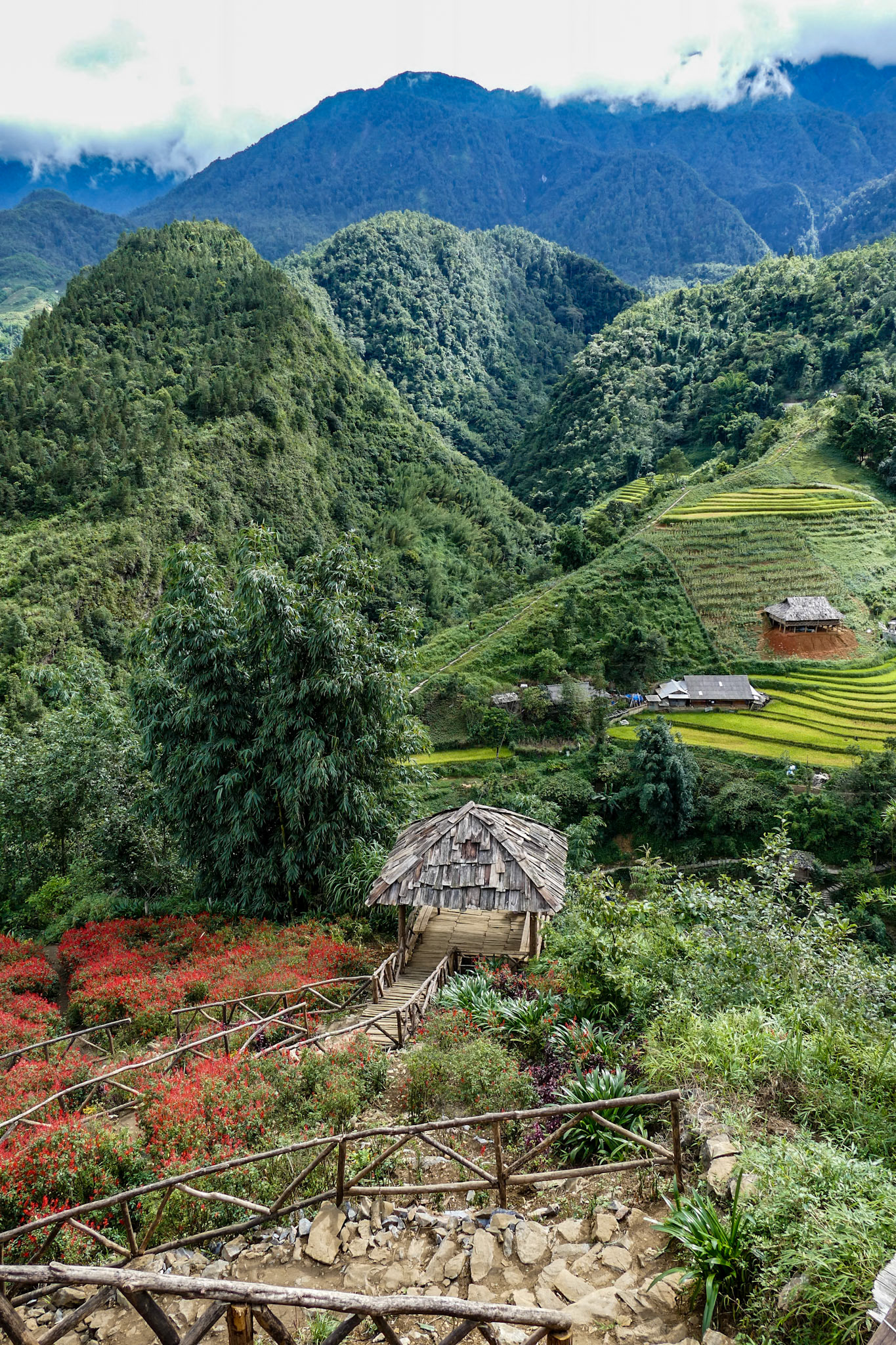 2019-09-08 14:50:12__f/2.8_1/400 sec_