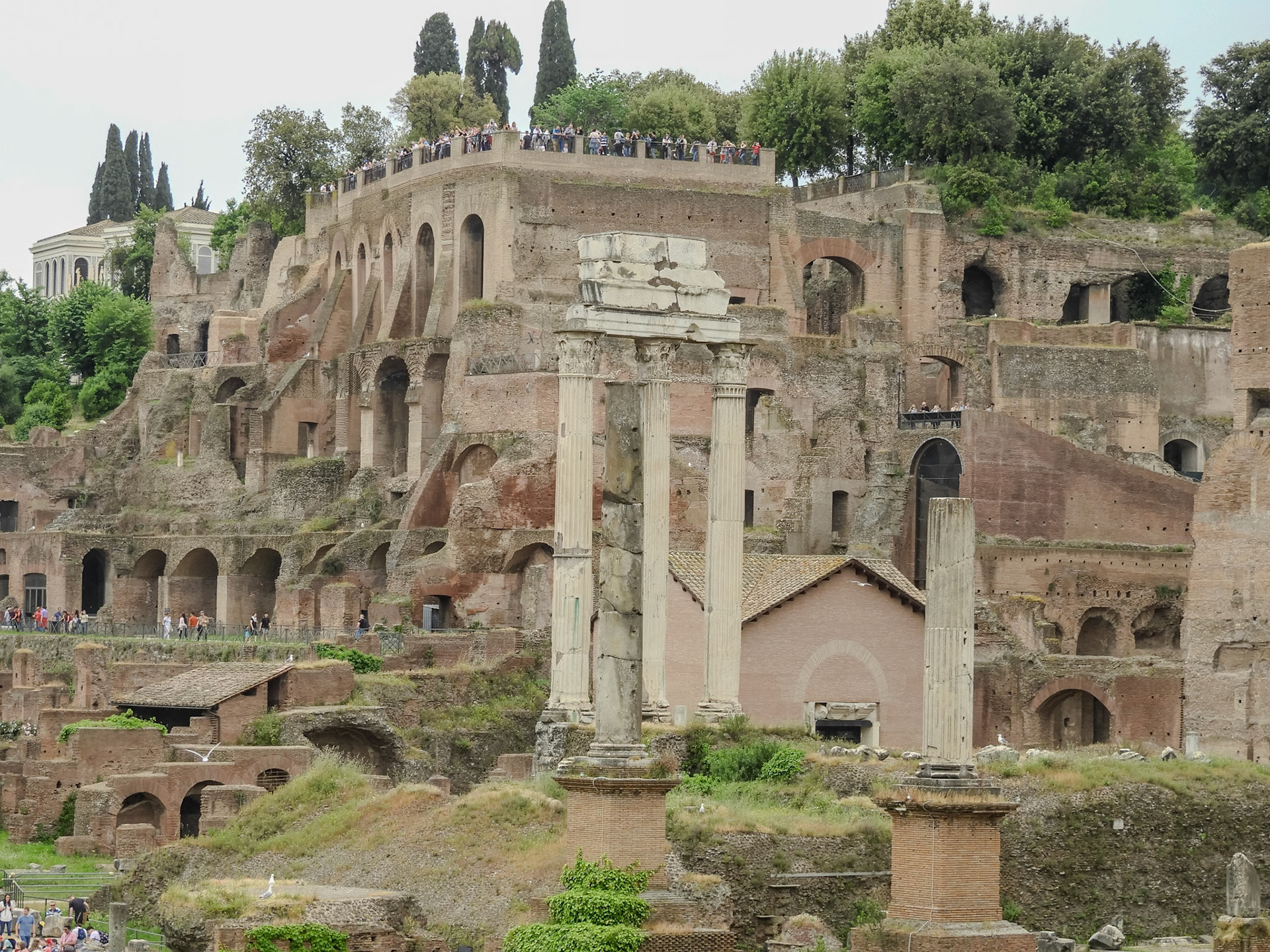 _2018-05-02__Coolpix B700__ __f/5__1/160 sec__Piazza del Colosseo__Rome__Italy__41°53'34.7208" N 12°29'4.8552" E_
