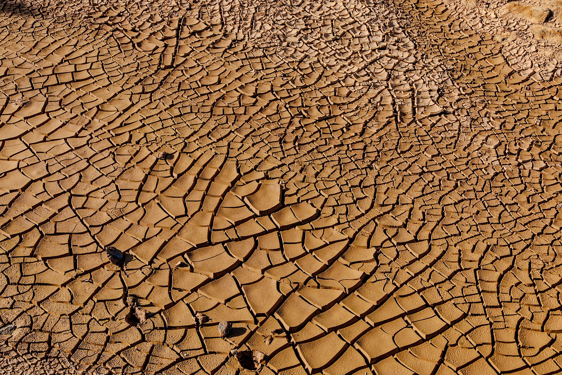 2024-12-01__Canon EOS R3__ RF24-240mm F4-6.3 IS USM__f/5__1/400 sec_________