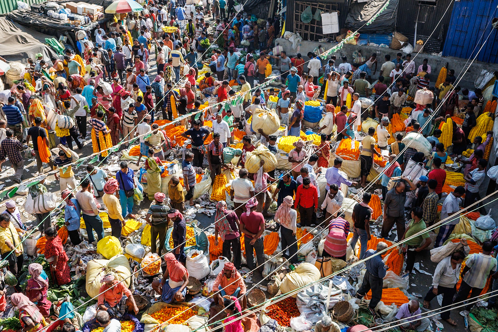 __2025-11-19__Canon__Canon EOS R3__ RF15-35mm F2.8 L IS USM__f/11__1/1000 sec__Maharishi Devendra Road__Kolkata__India__22°35'2.616" N 88°21'5.8572" E