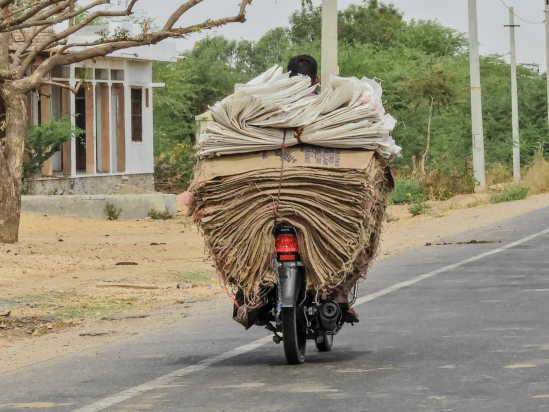 2018-02-23 11:54:45__f/4.8_1/800 sec__Tewali Khurd_India_25°35'23.6112" N 73°23'9.3048" E