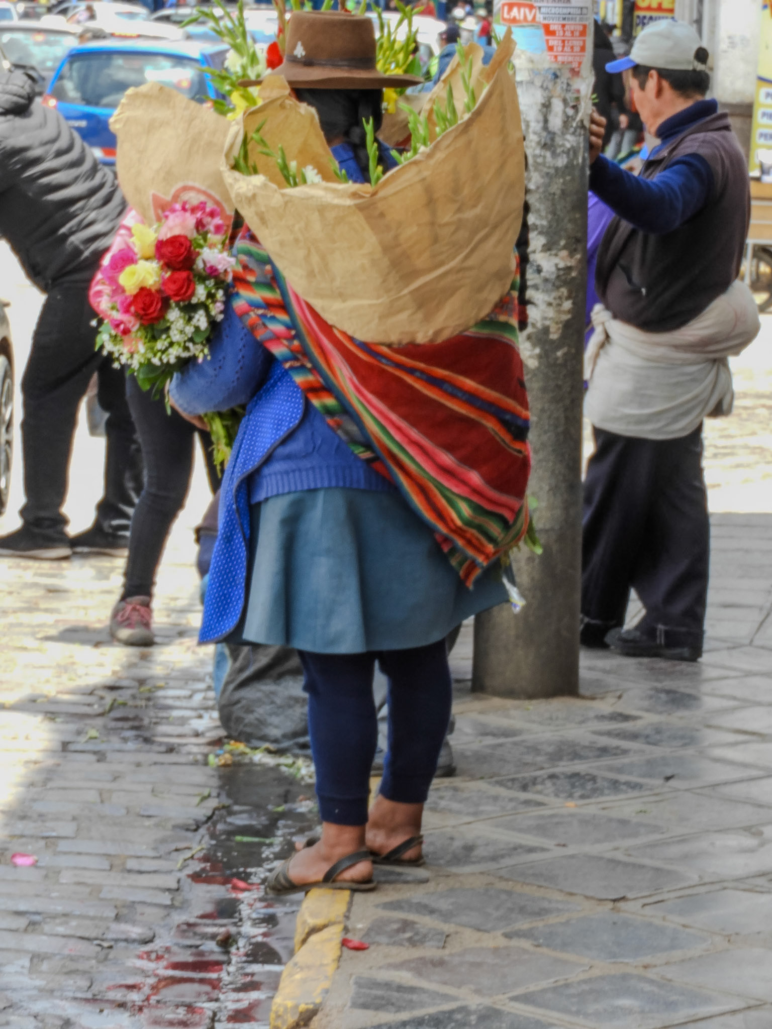 _2018-11-08__Coolpix B700__ __f/5.2__1/100 sec__Nueva Alta__Cuzco__Peru__13°31'17.616" S 71°58'57.7992" W_