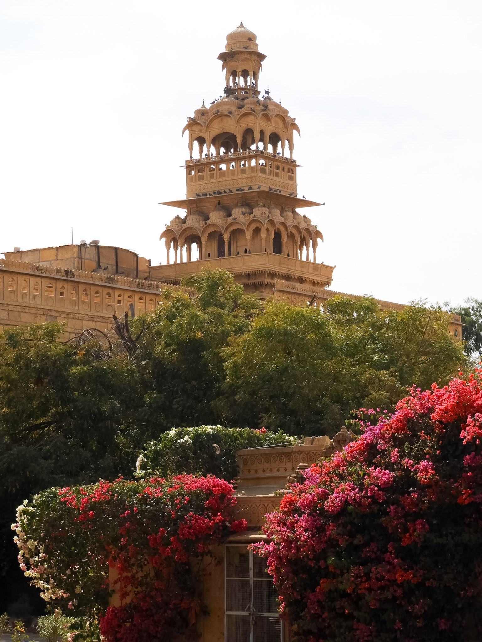 _2018-02-28__Nikon__Coolpix B700__ __f/4.8__1/800 sec________