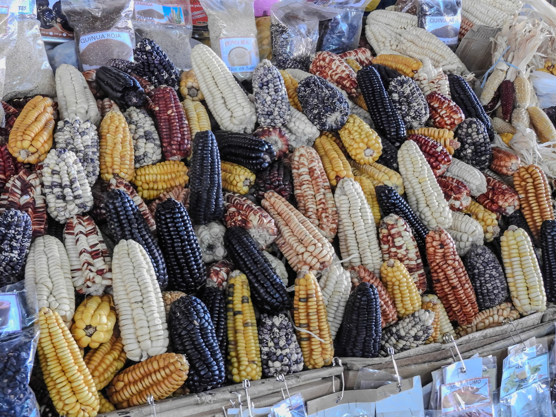 2018-11-08 11:57:02__f/4.2_1/8 sec_13°31'15.42" S 71°58'58.53" W