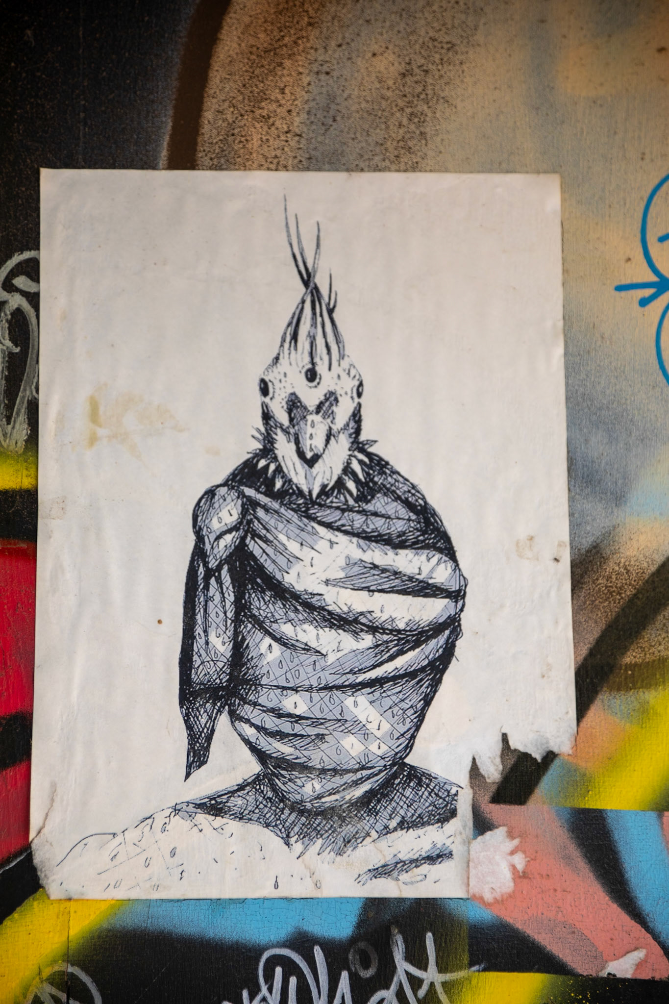 2023-11-02 19:36:26_TAMRON 28-300mm F/3.5-6.3 Di VC PZD A010_f/5.6_1/100 sec_Manuel Belgrano_Mendoza_Argentina_32°53'28.8528" S 68°51'30.42" W