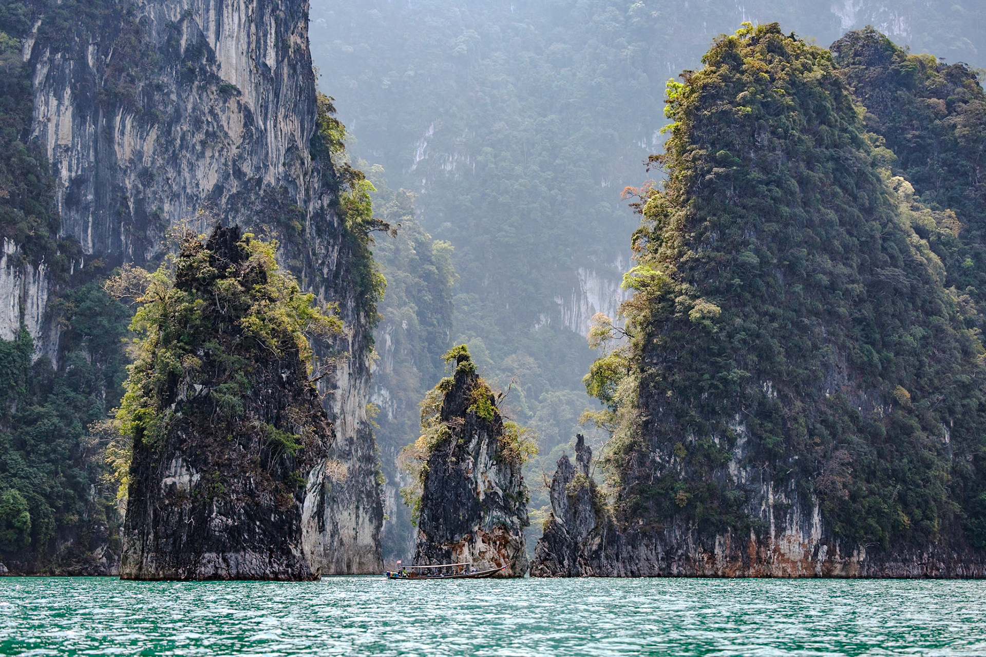 _2025-02-10__Canon__Canon EOS R3__ RF70-200mm F2.8 L IS USM__f/2.8__1/3200 sec______Thailand__9°0'1.308" N 98°42'31.326" E