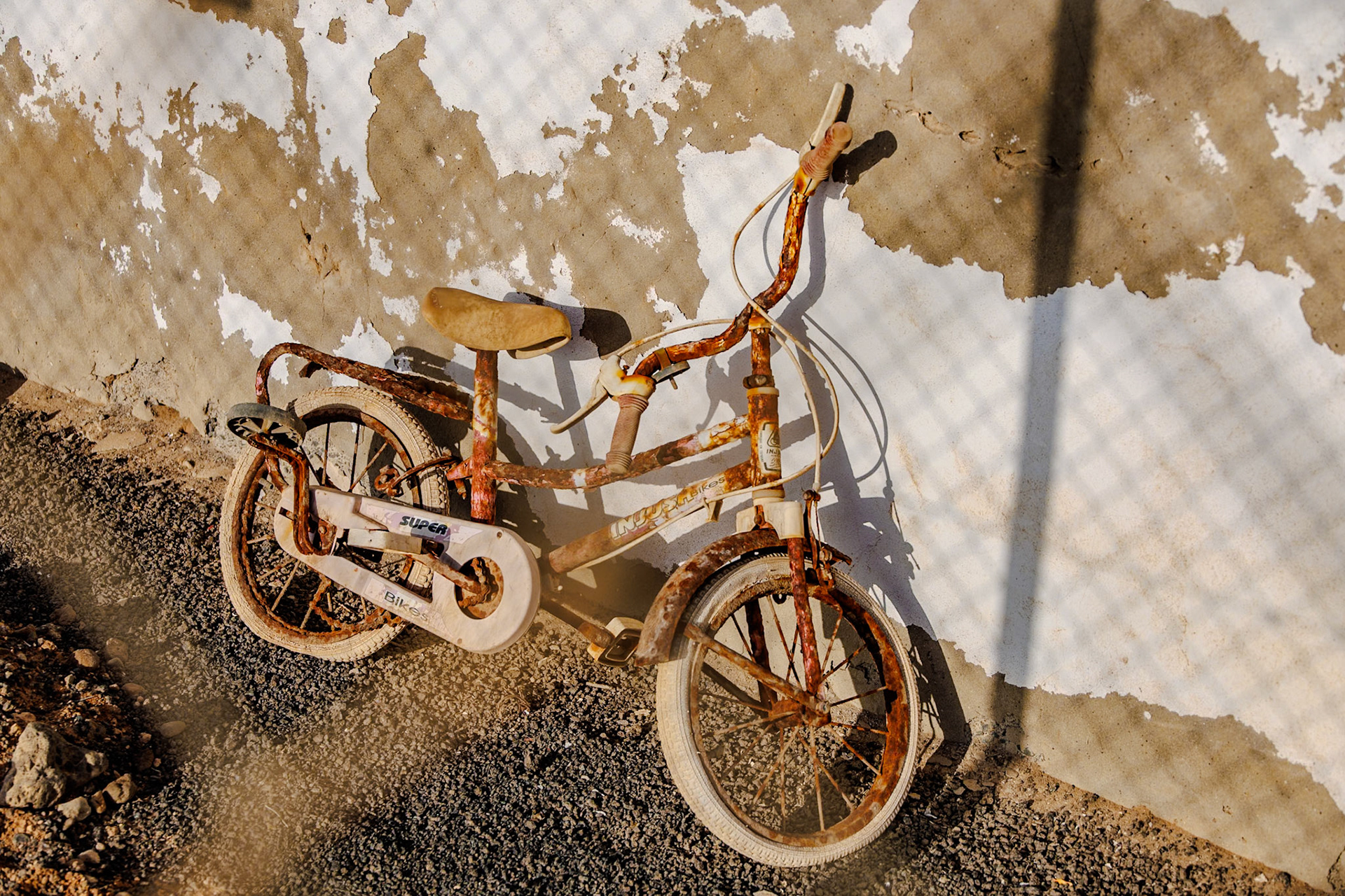 _2024-12-01__Canon__Canon EOS R3__ RF24-240mm F4-6.3 IS USM__f/5__1/800 sec__Avenida Islas Canarias__Teguise__Spain__29°0'17.0532" N 13°28'42.6612" W