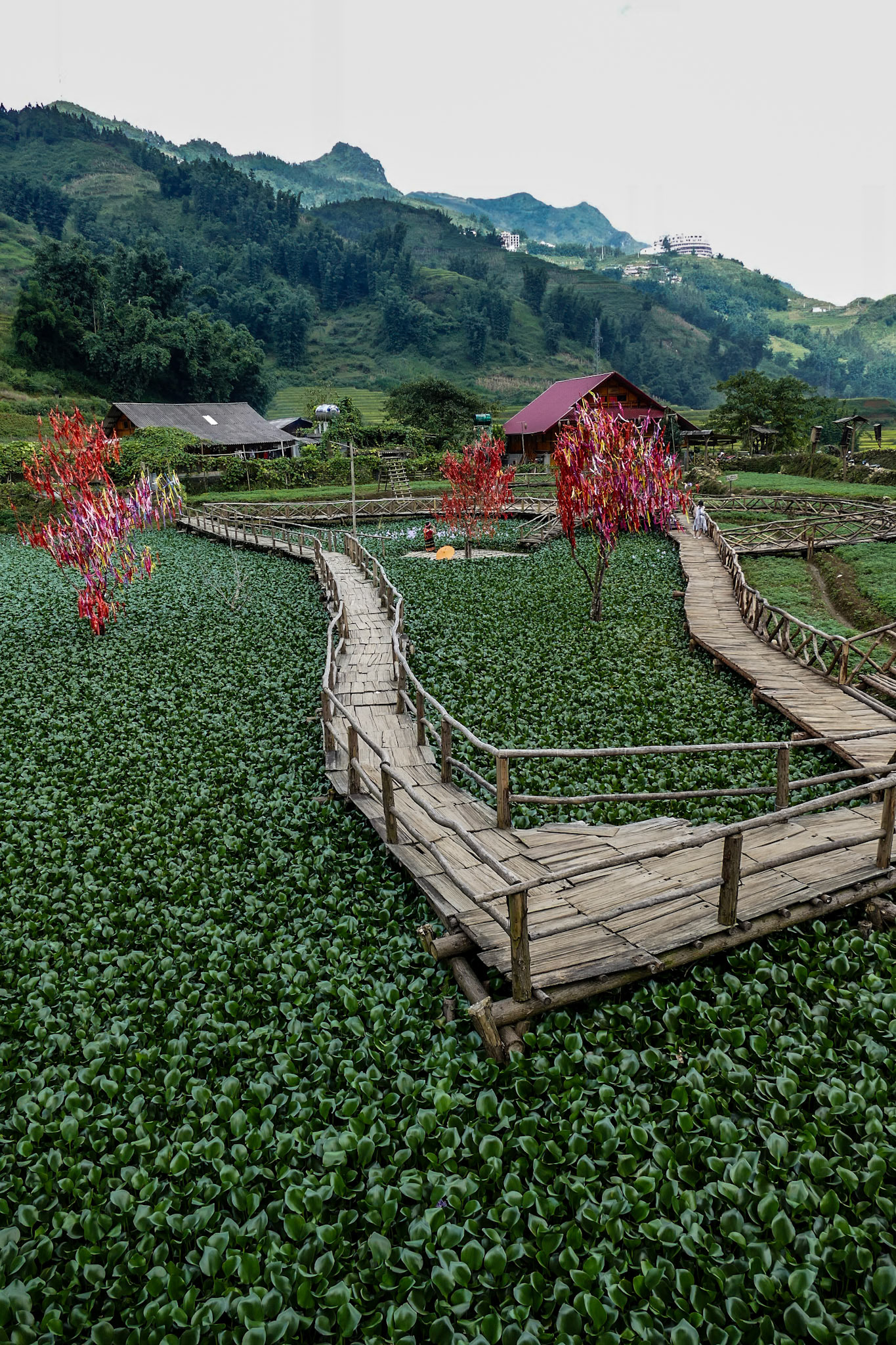 2019-09-08 15:03:13__f/2.8_1/500 sec_