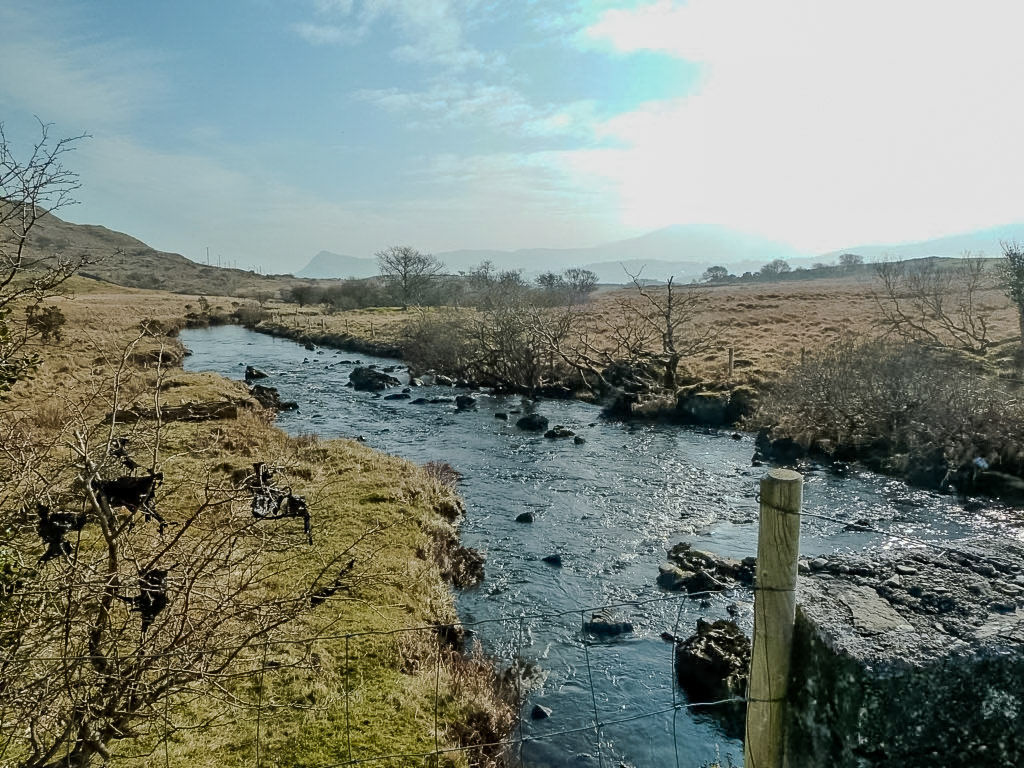 _2011-03-05__Panasonic__DMC-TZ10__ __f/5.6__1/500 sec__R300__County Mayo__Ireland__53°34'9.1416" N 9°29'24.9288" W