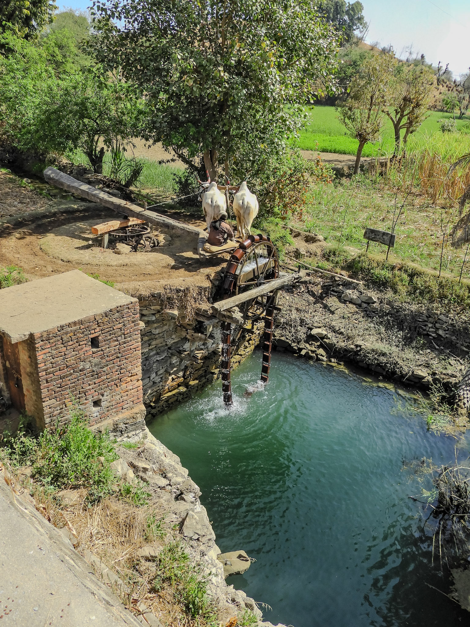 2018-02-22 11:13:40__f/3.5_1/640 sec_SH32_Punawali_India_24°49'13.9008" N 73°25'49.1412" E