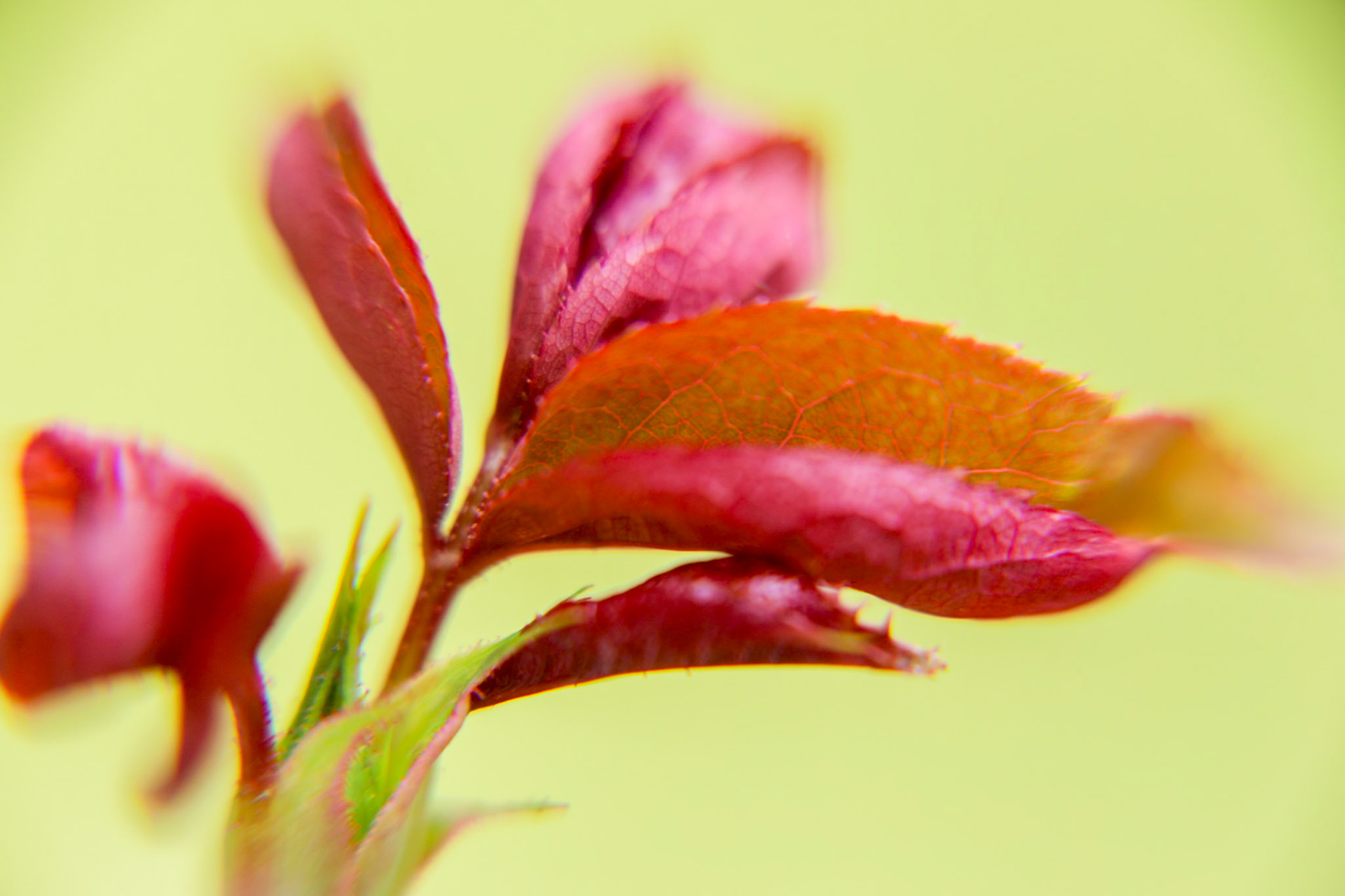 _2023-04-19__Canon__Canon EOS 5D Mark IV__ TAMRON 28-300mm F/3.5-6.3 Di VC PZD A010__f/5.6__1/100 sec________