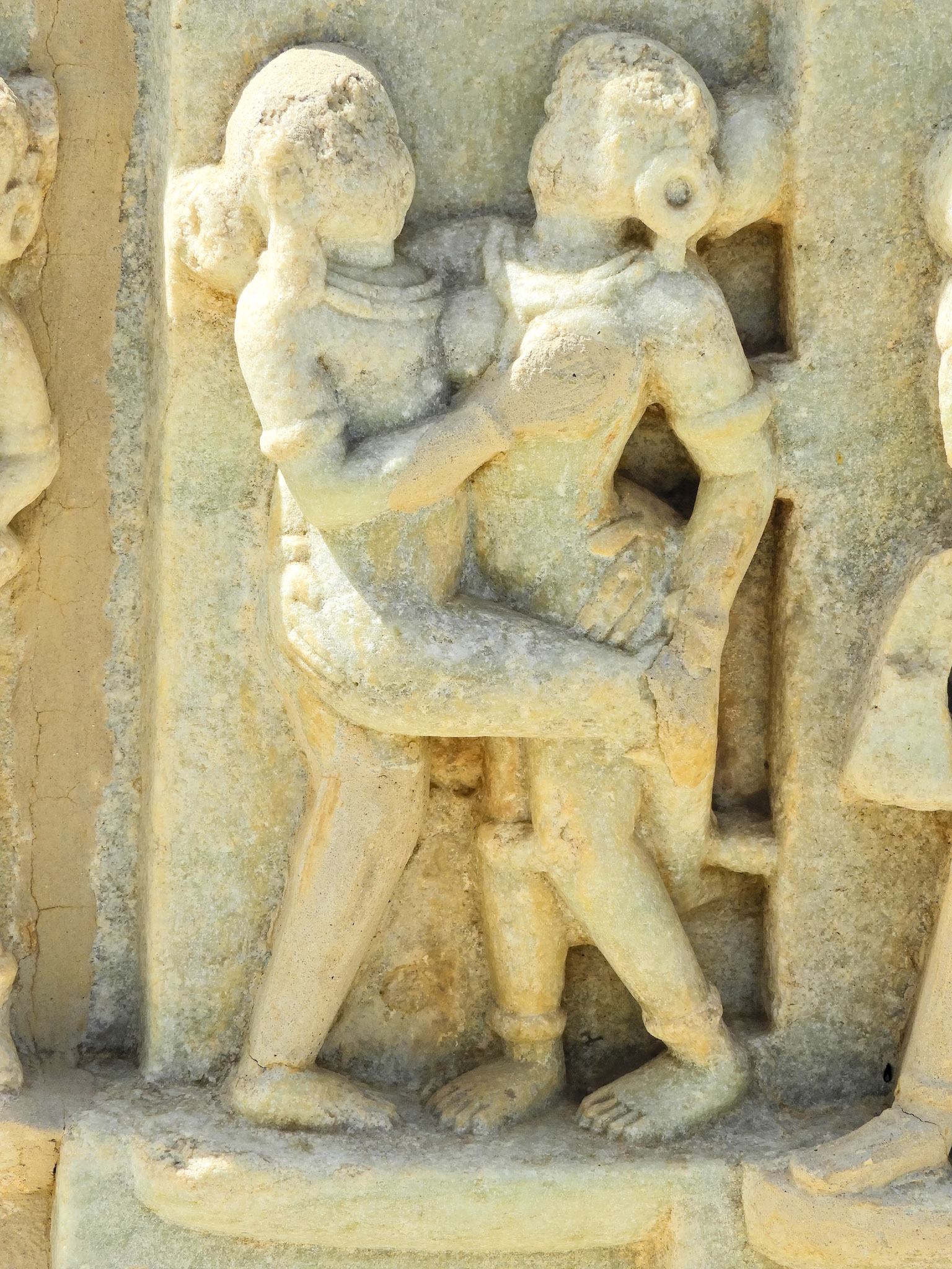 _2018-02-22__Nikon__Coolpix B700__ __f/5__1/500 sec____Desuri Tehsil__India__25°6'56.9952" N 73°28'19.6428" E