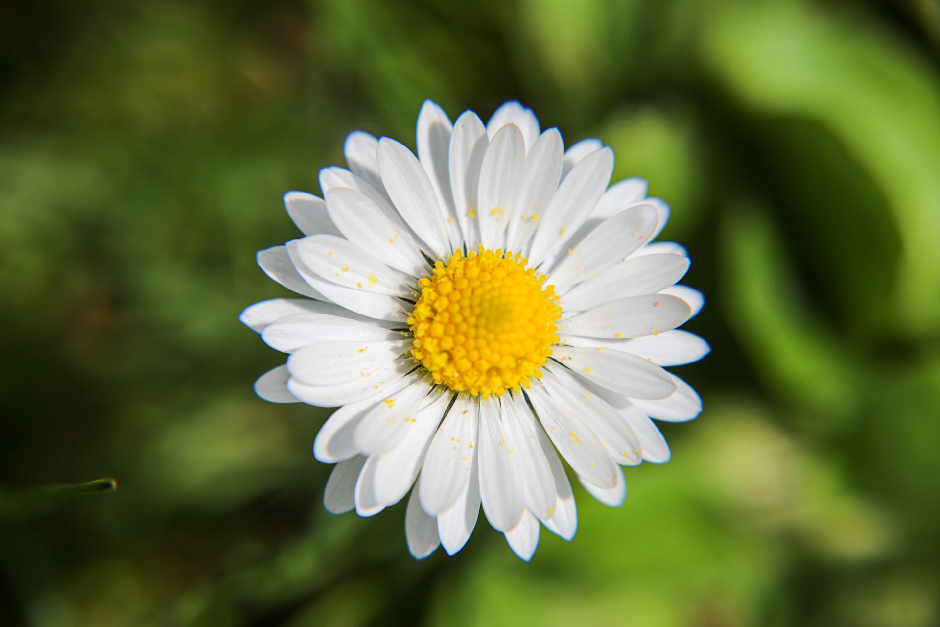 _2023-04-19__Canon__Canon EOS 5D Mark IV__ TAMRON 28-300mm F/3.5-6.3 Di VC PZD A010__f/8__1/500 sec________