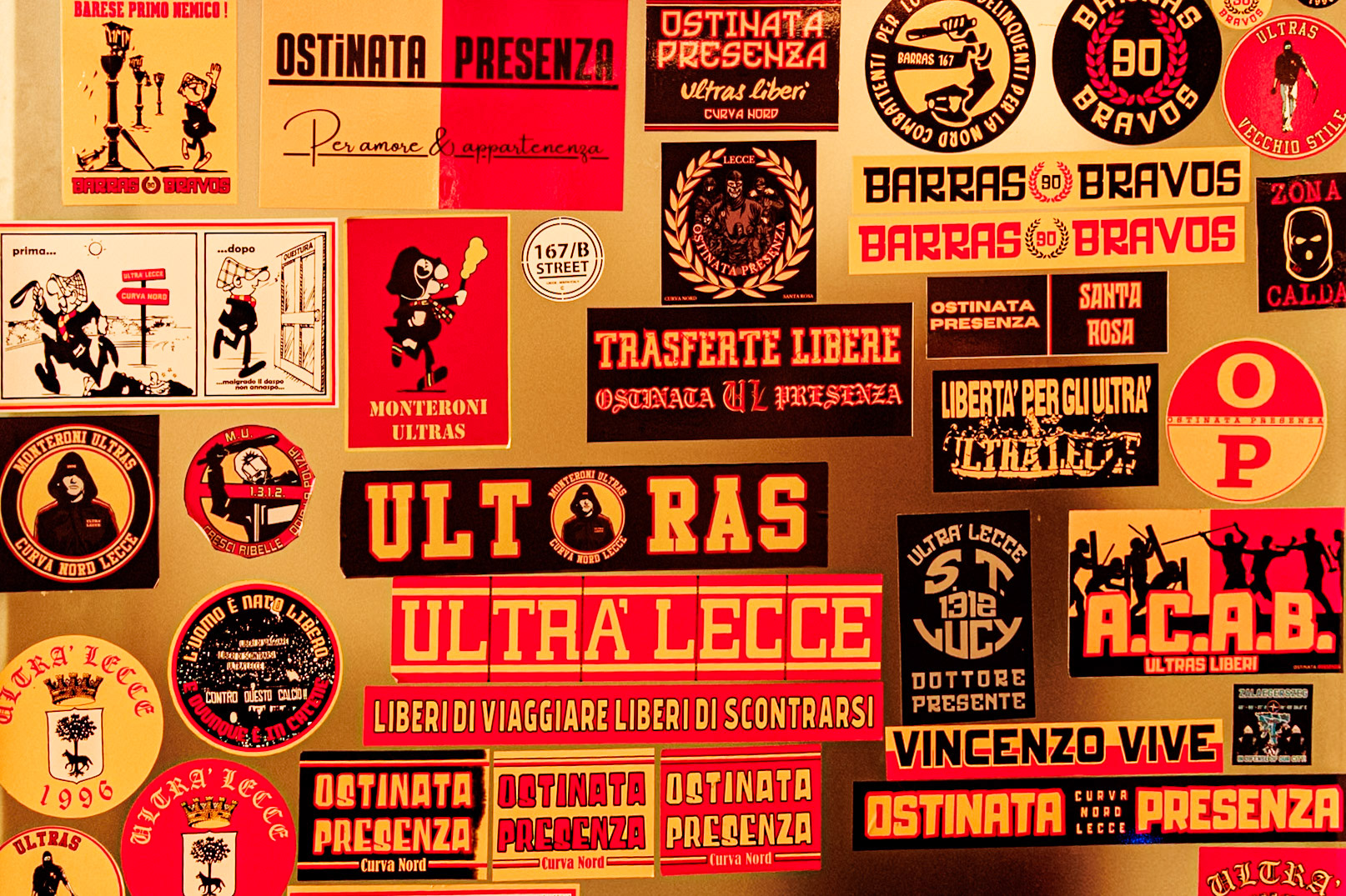 2024-09-10 12:56:04_RF24-240mm F4-6.3 IS USM_f/4.5_1/80 sec____