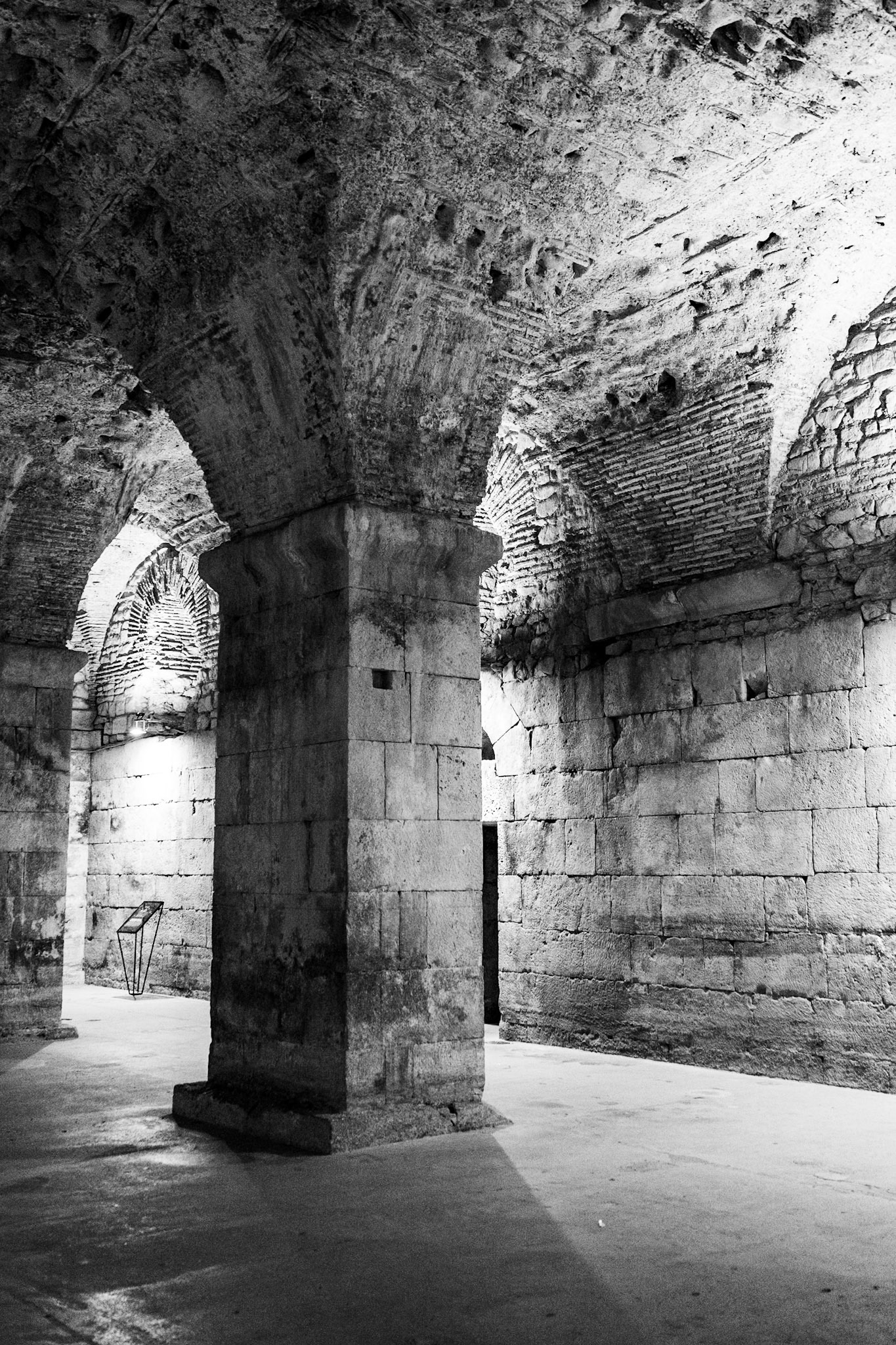 _2024-09-22__Canon__Canon EOS R3__ RF24-240mm F4-6.3 IS USM__f/4.5__1/80 sec________