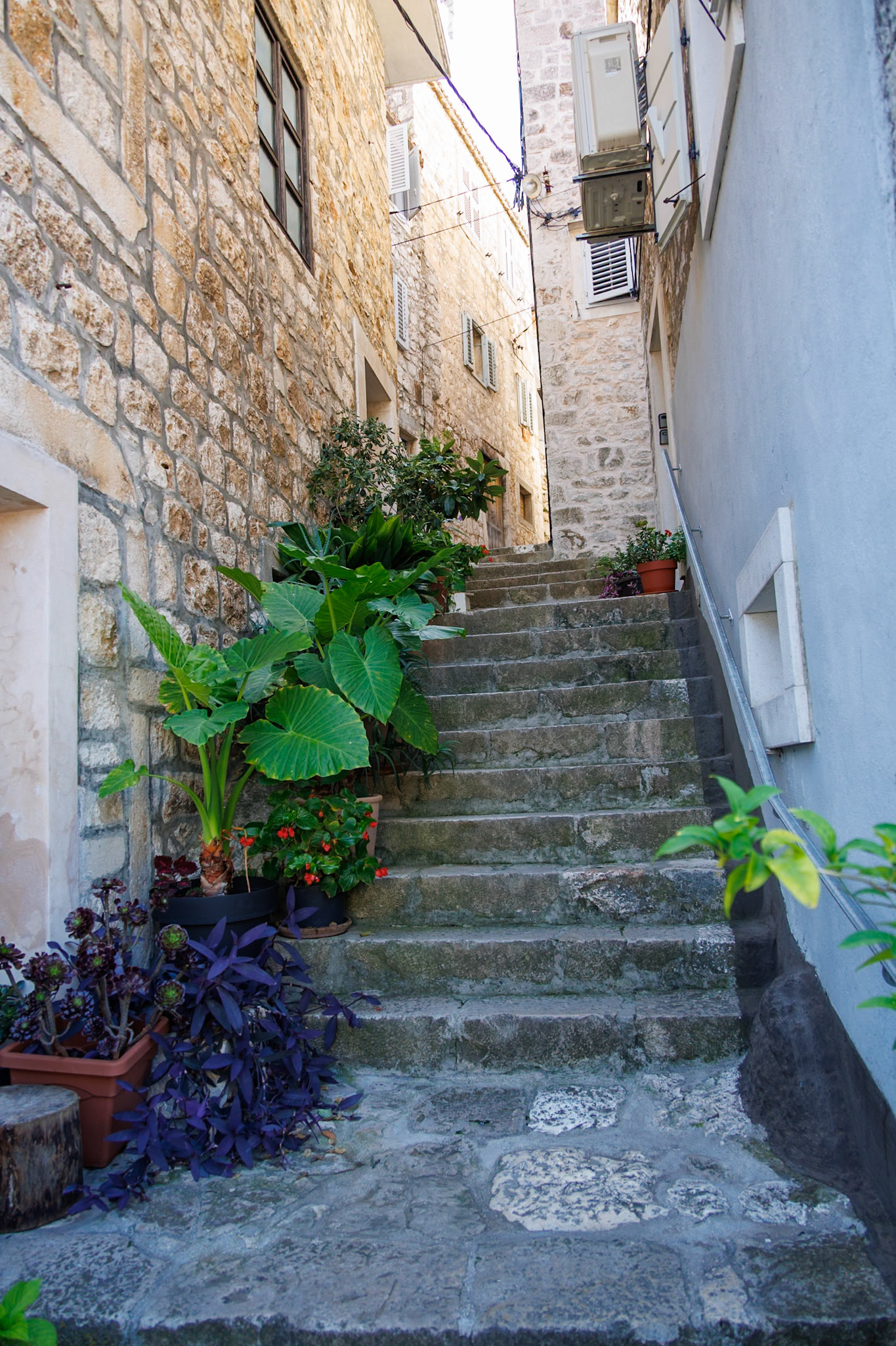 _2024-09-23__Canon__Canon EOS R3__ RF24-240mm F4-6.3 IS USM__f/4__1/60 sec__Riva__Grad Hvar__Croatia__43°10'17.9148" N 16°26'37.8672" E