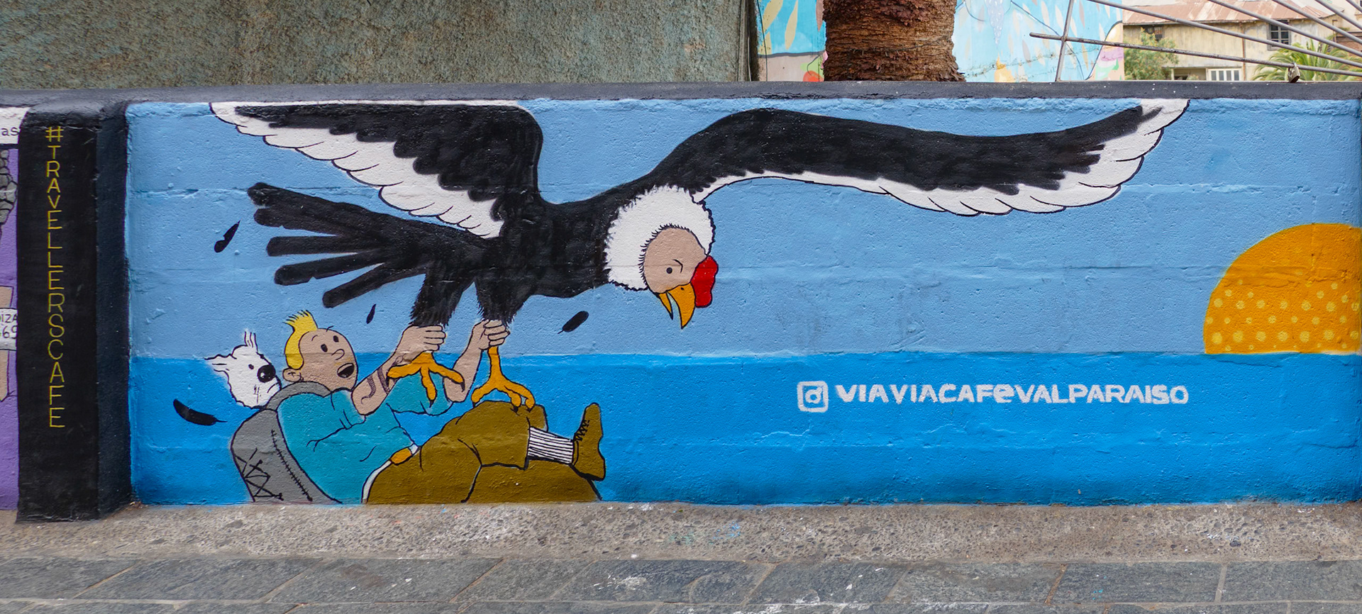 _2025-07-08__DMC-FZ1000__ __f/3__1/500 sec__Dimalow__Valparaíso__Chile__33°2'36.5172" S 71°37'39.5868" W_