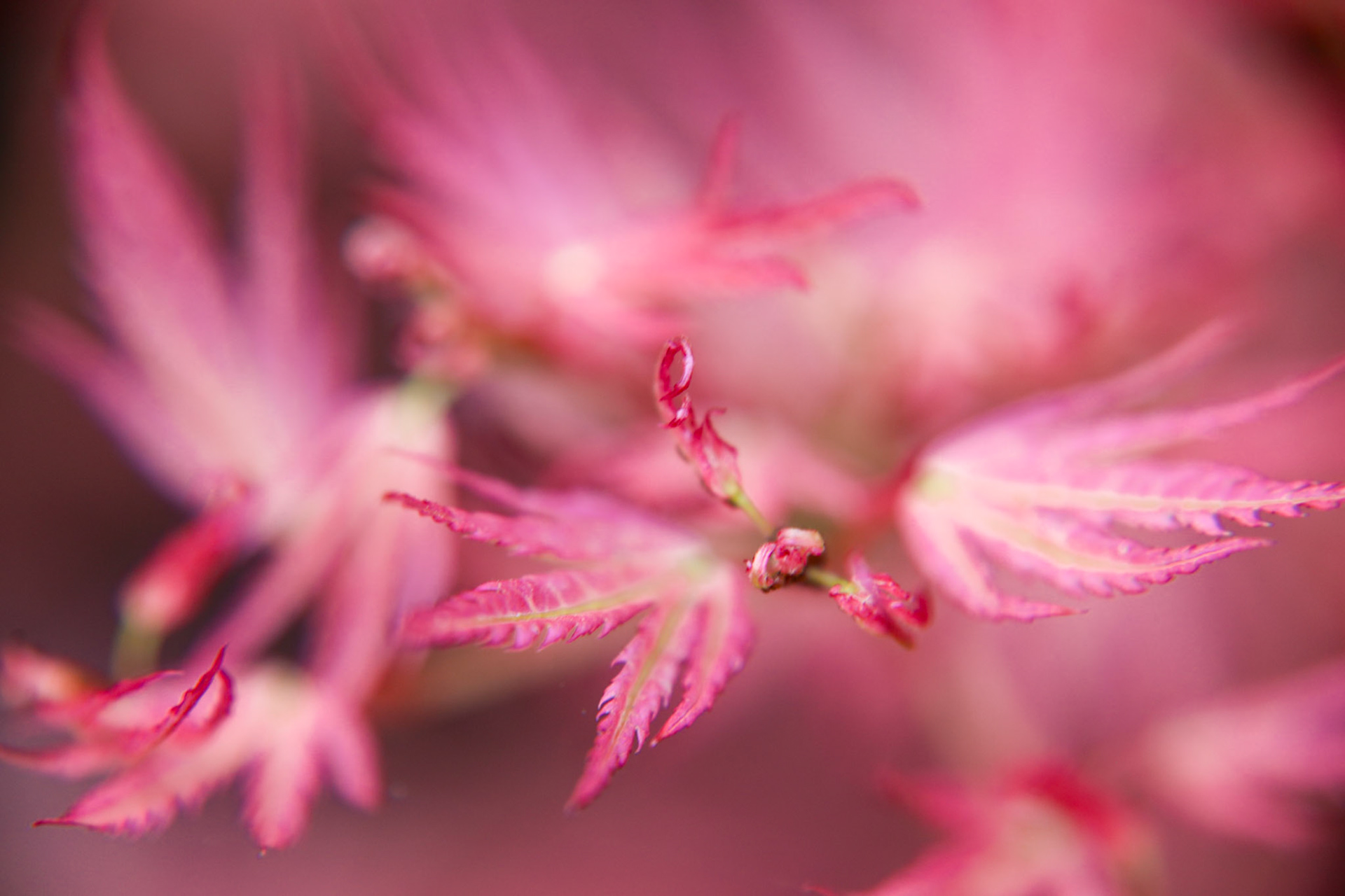 2023-04-19 15:17:36_TAMRON 28-300mm F/3.5-6.3 Di VC PZD A010_f/5.6_1/160 sec______