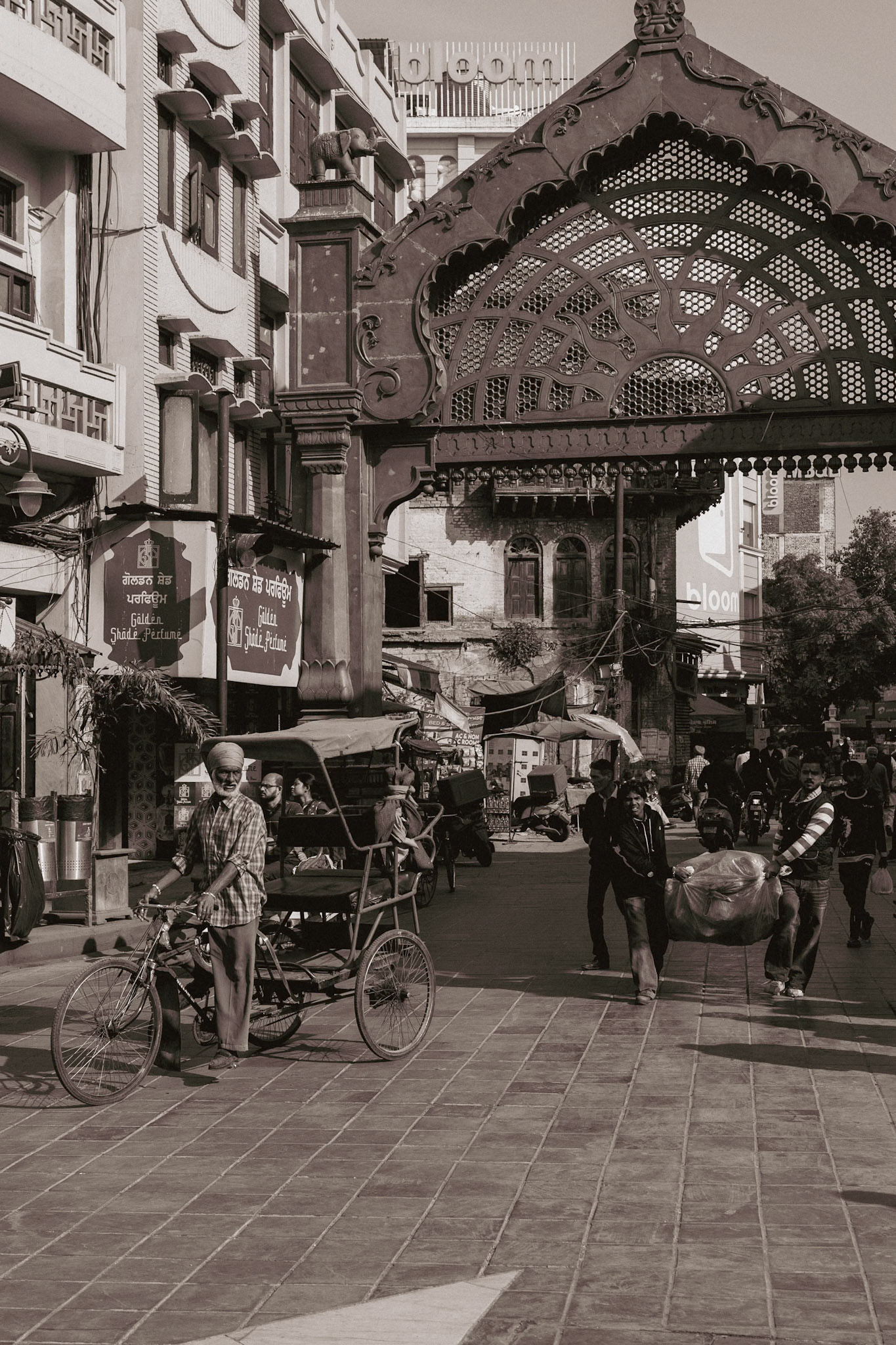 __2025-12-09__Canon__Canon EOS R3__ RF24-70mm F2.8 L IS USM__f/4__1/1600 sec________