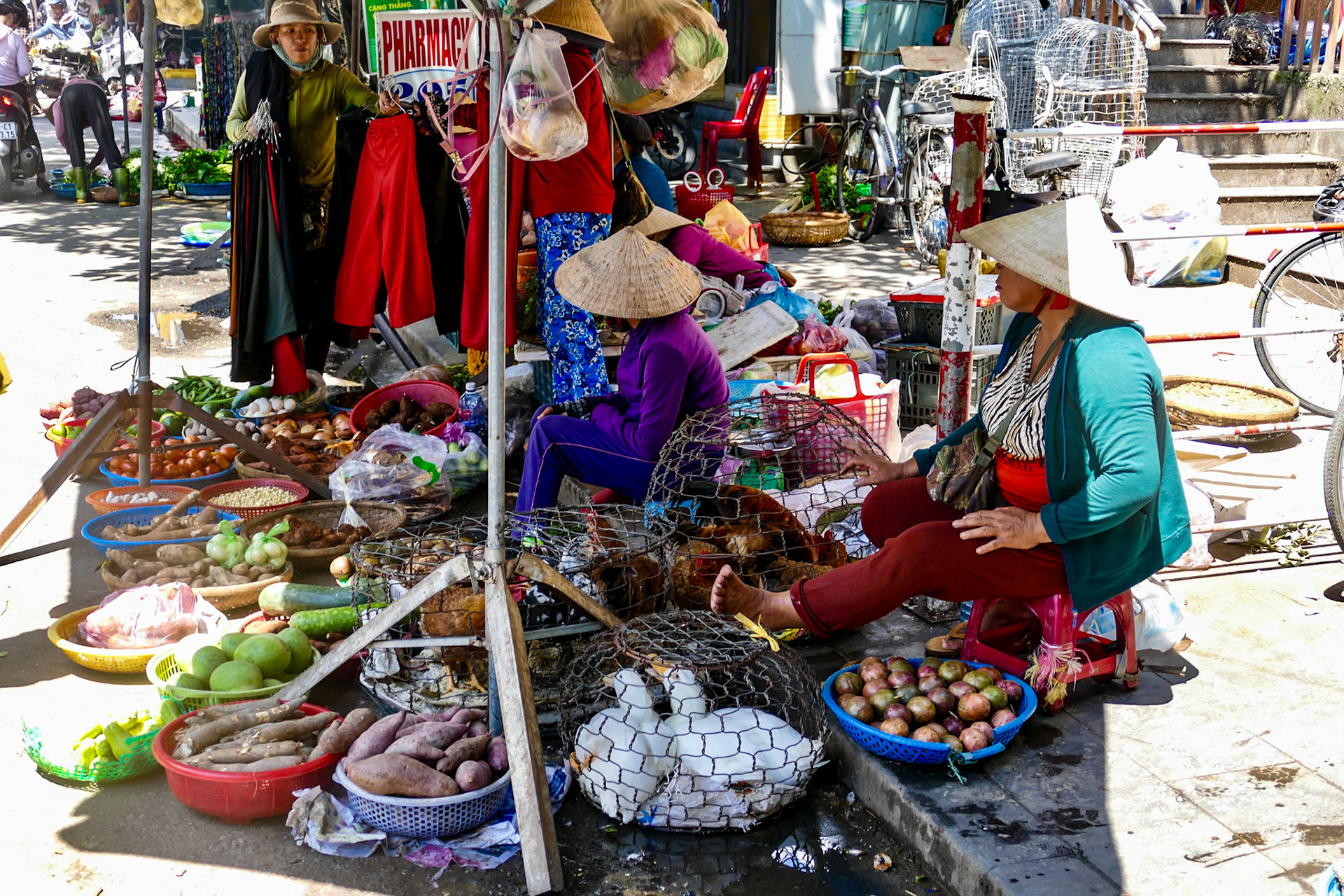 2019-09-16 10:23:52__f/3.3_1/160 sec_