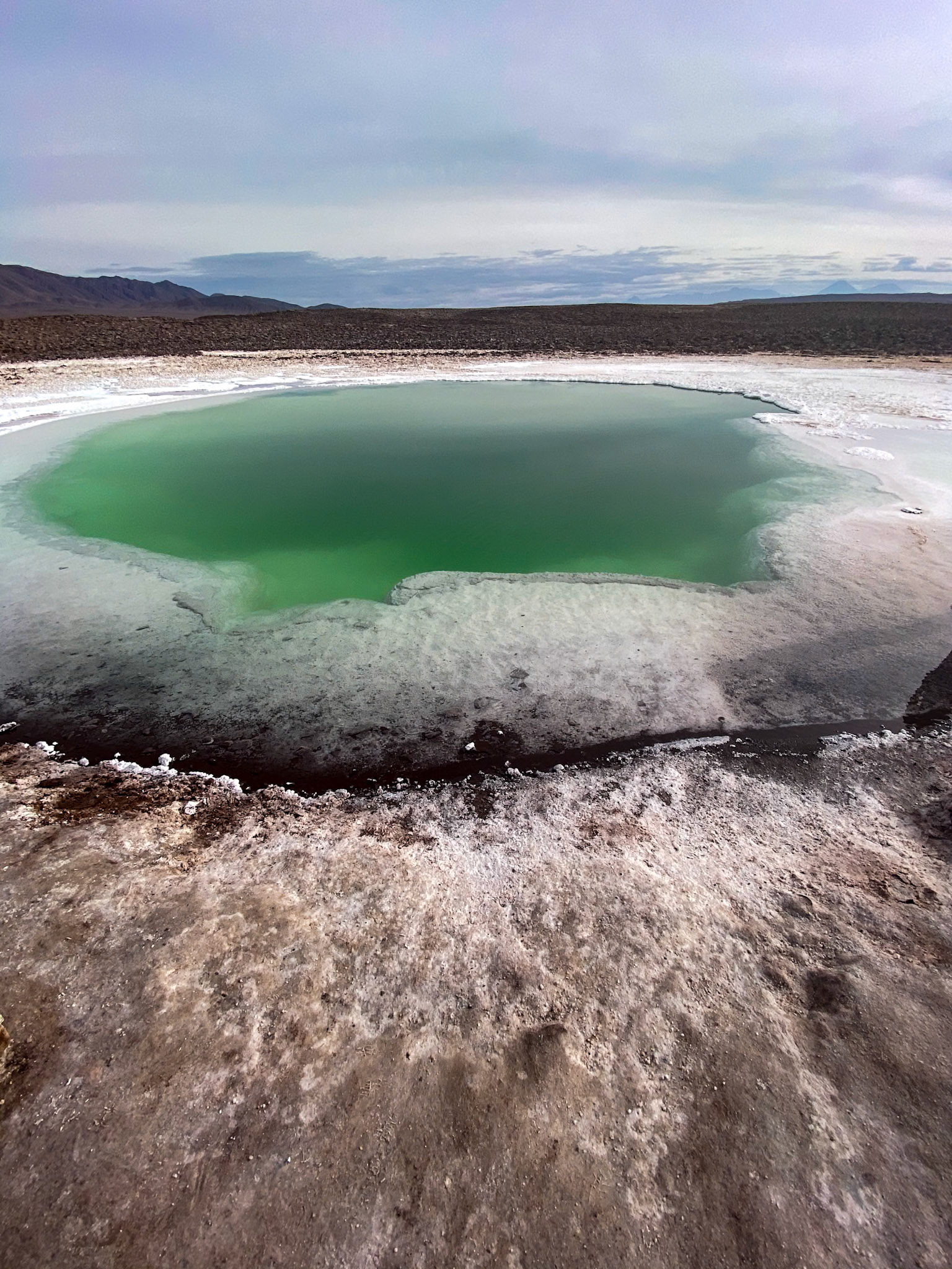 2020-01-16 09:22:13_iPhone 11 Pro back triple camera 1.54mm f/2.4_f/2.4_1/1400 sec_