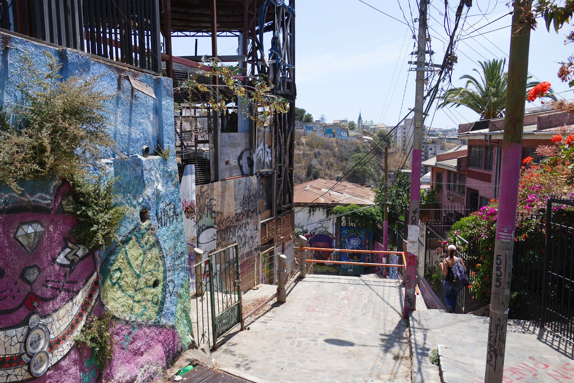 2020-01-23 14:14:40_FZ1000 24-400mm_f/2.8_1/1250 sec_