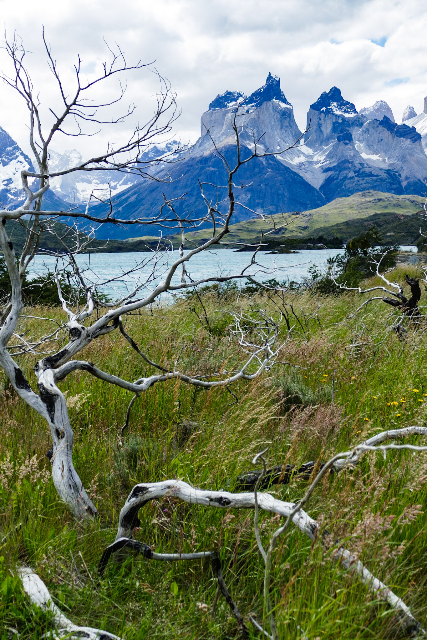 _2020-01-07__Panasonic__DMC-FZ1000__ __f/3.3__1/1250 sec__Camping Sodexo__Torres del Paine__Chile__51°6'22.5576" S 72°59'2.9796" W