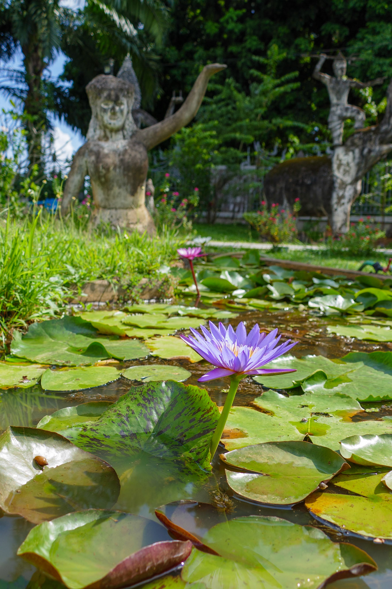 _2019-10-12__Panasonic__DMC-FZ1000__ __f/3.1__1/1000 sec__0119__Vientiane Capital__Laos__17°54'42.8256" N 102°45'55.674" E