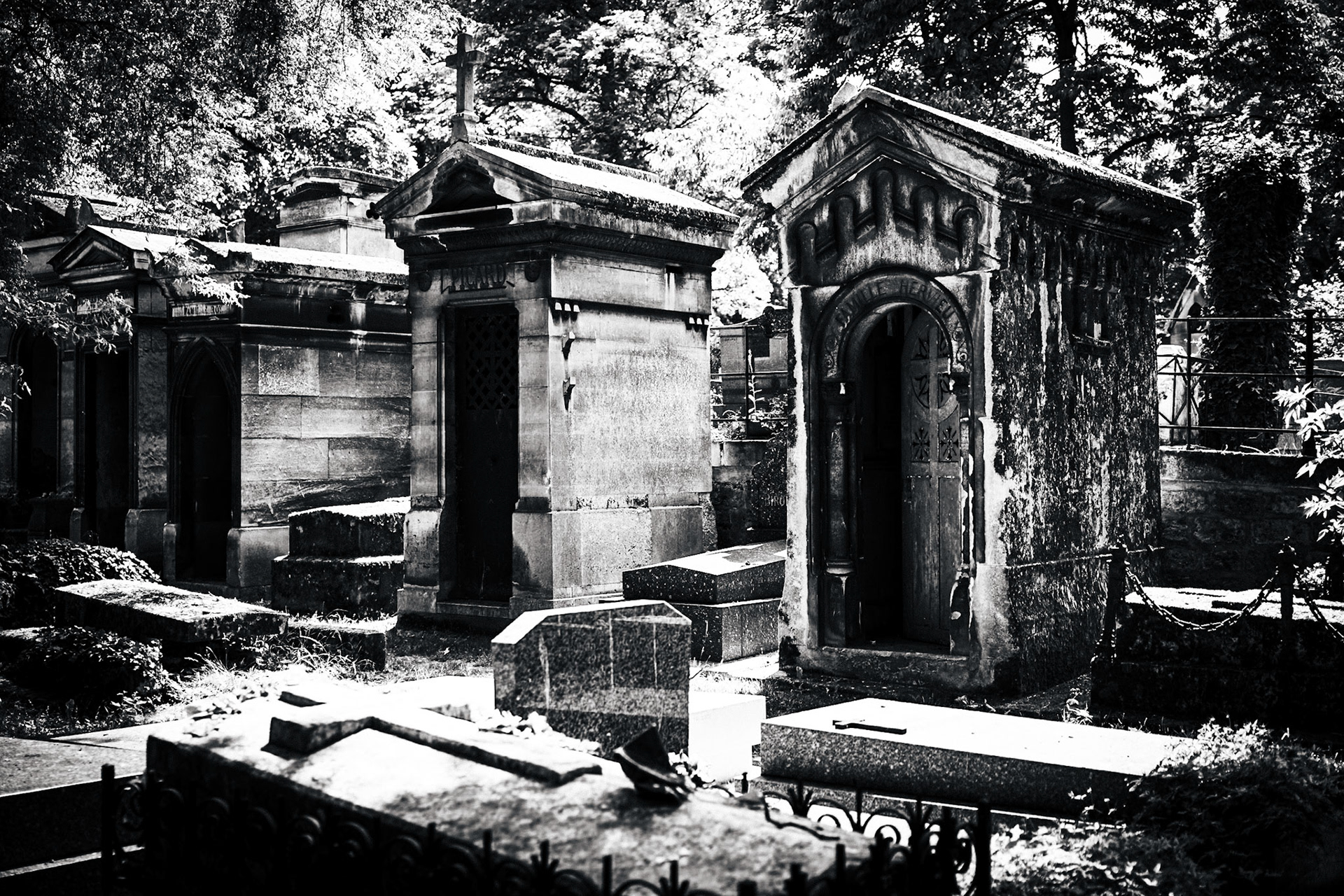 _2025-06-10__Canon__Canon EOS R3__ RF28-70mm F2.8 IS STM__f/2.8__1/320 sec__Rue du Cardinal Guibert__Paris__France__48°53'20.562" N 2°19'49.0548" E