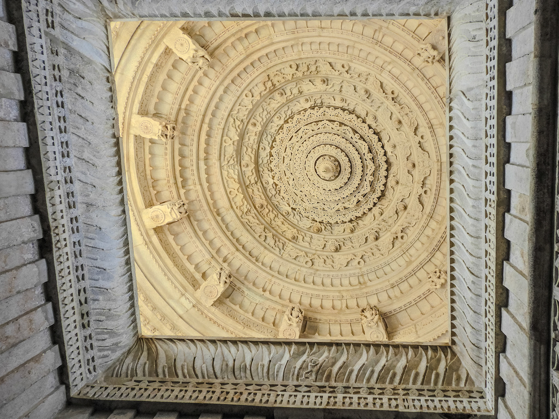 2025-07-07 16:46:13__f/4.8_1/80 sec__Desuri Tehsil_India_25°6'59.2668" N 73°28'19.1028" E