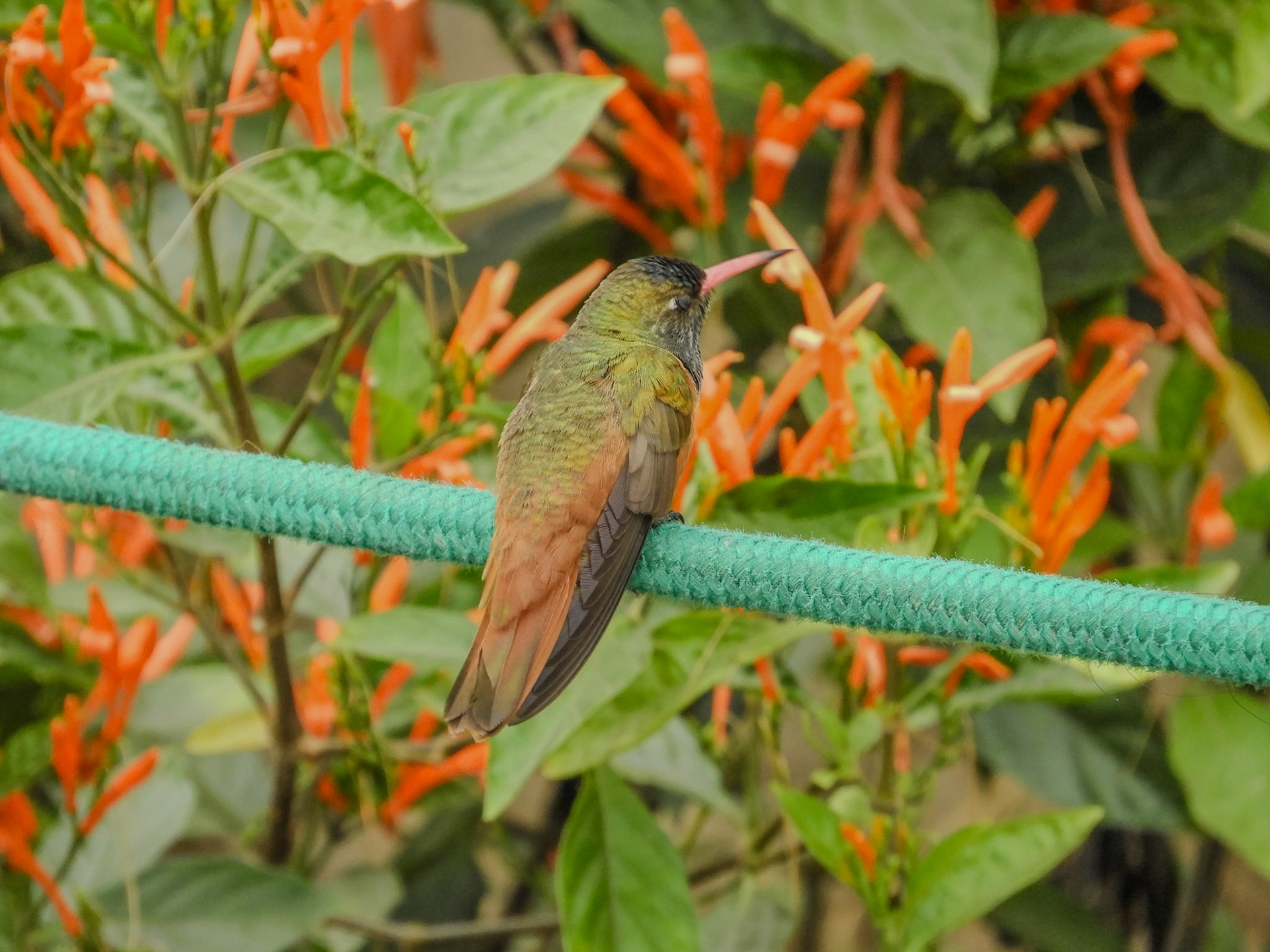 2018-10-14 19:50:08__f/5.6_1/200 sec____