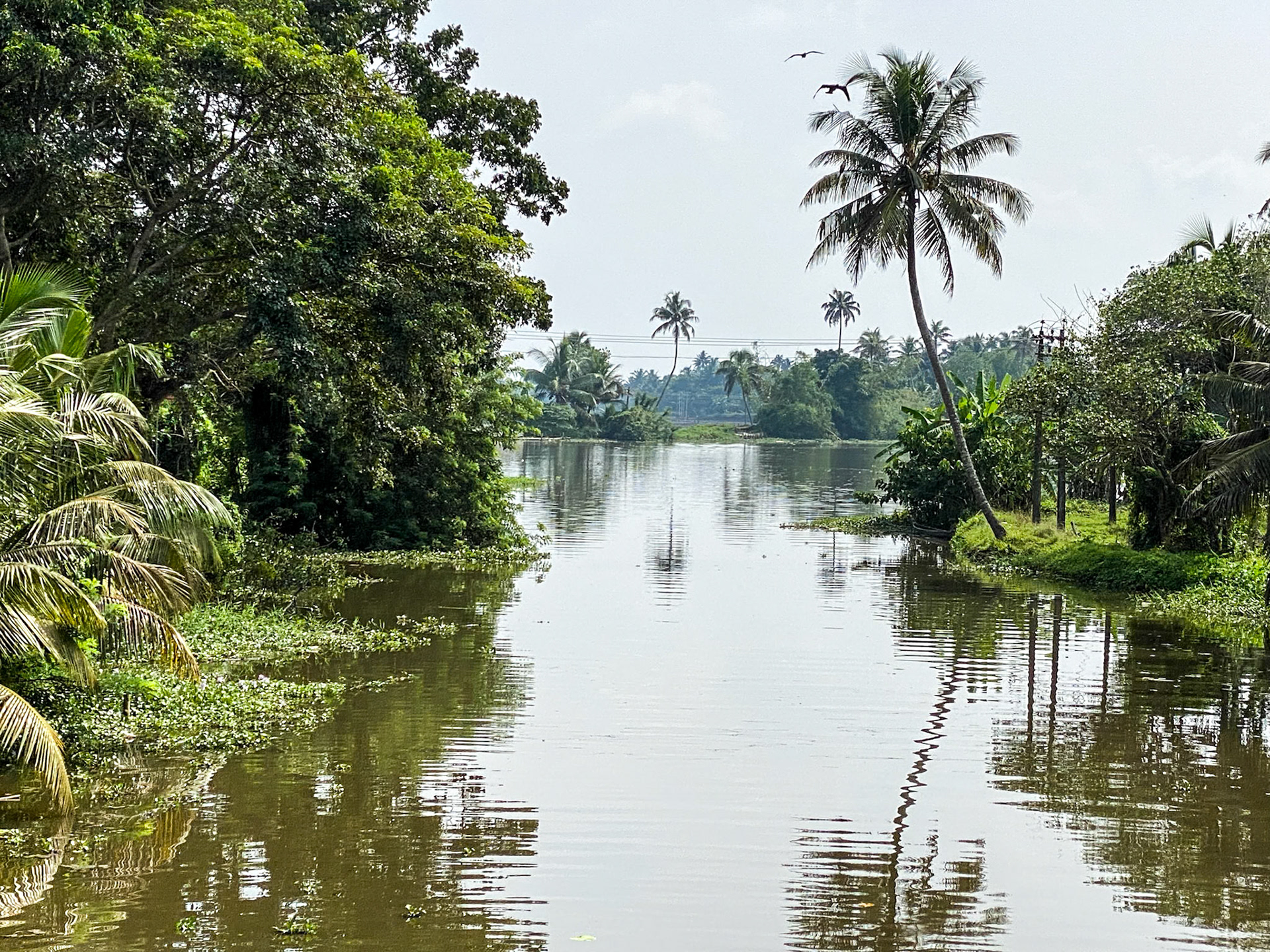_2022-11-03__iPhone 11 Pro__ iPhone 11 Pro back triple camera 6mm f/2__f/2__1/2800 sec____Alleppey &amp; Kerala Backwaters__India___