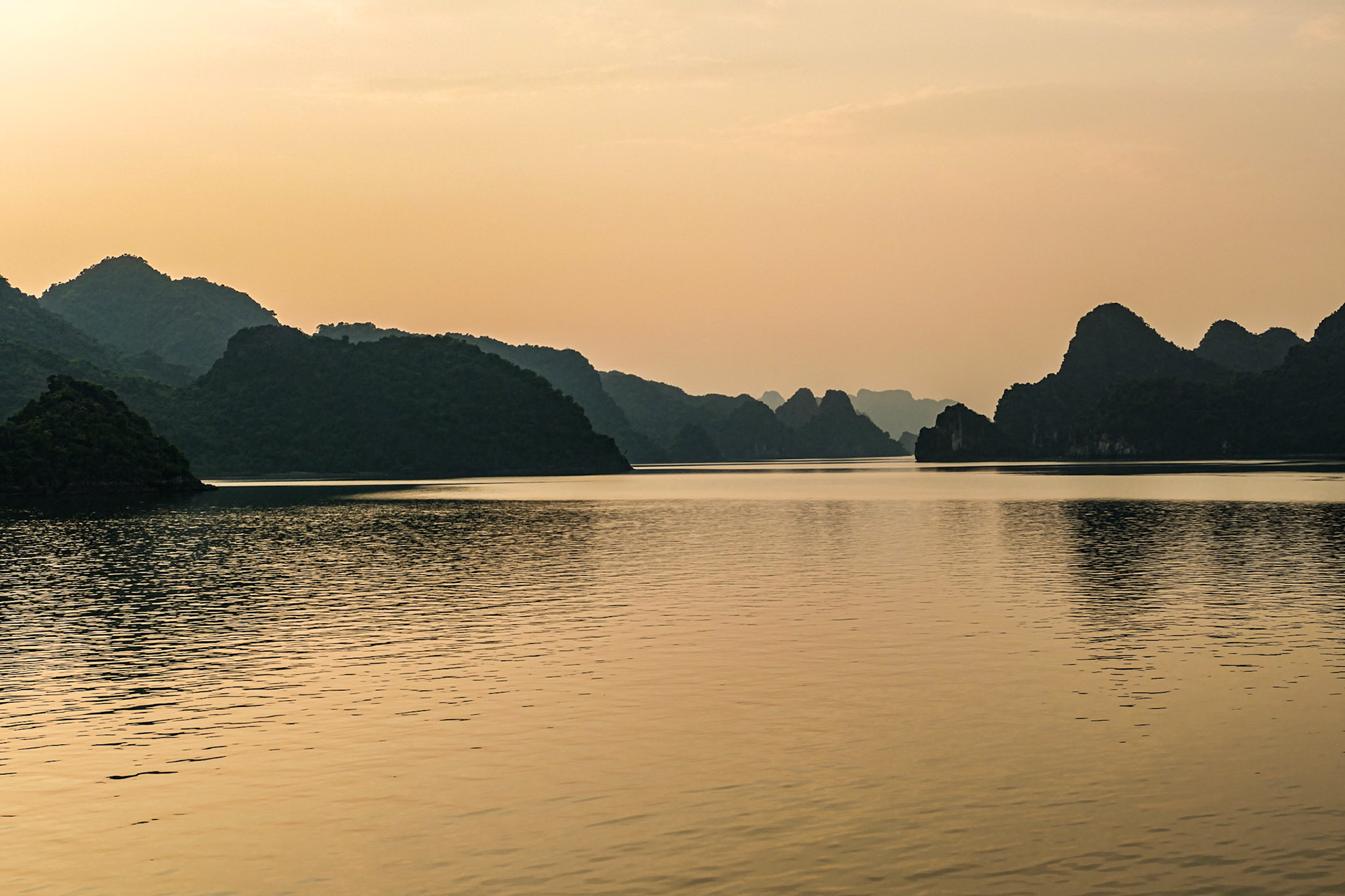 _2019-09-05__DMC-FZ1000__ __f/3.6__1/640 sec_________