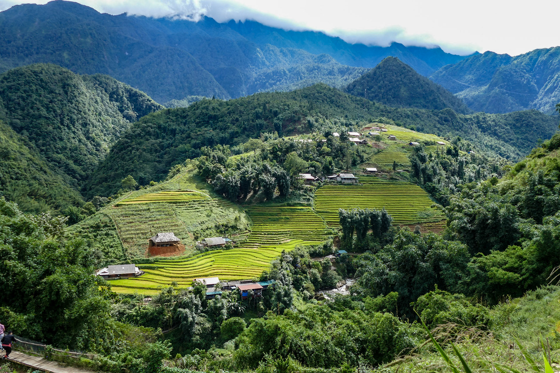 2019-09-08 14:46:28__f/3_1/500 sec_