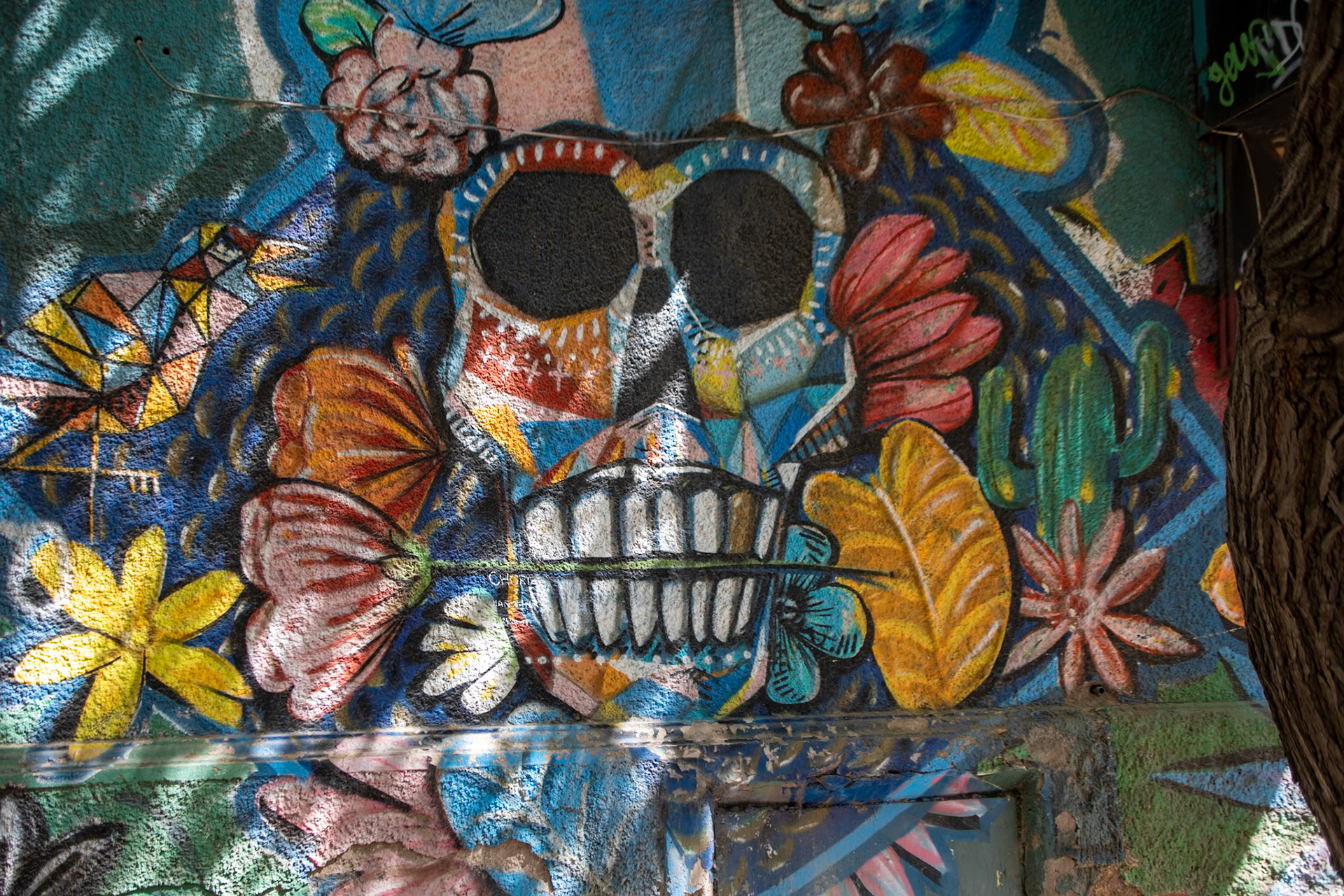 2023-11-02 19:35:24_TAMRON 28-300mm F/3.5-6.3 Di VC PZD A010_f/4.5_1/50 sec_Manuel Belgrano_Mendoza_Argentina_32°53'28.878" S 68°51'30.2688" W