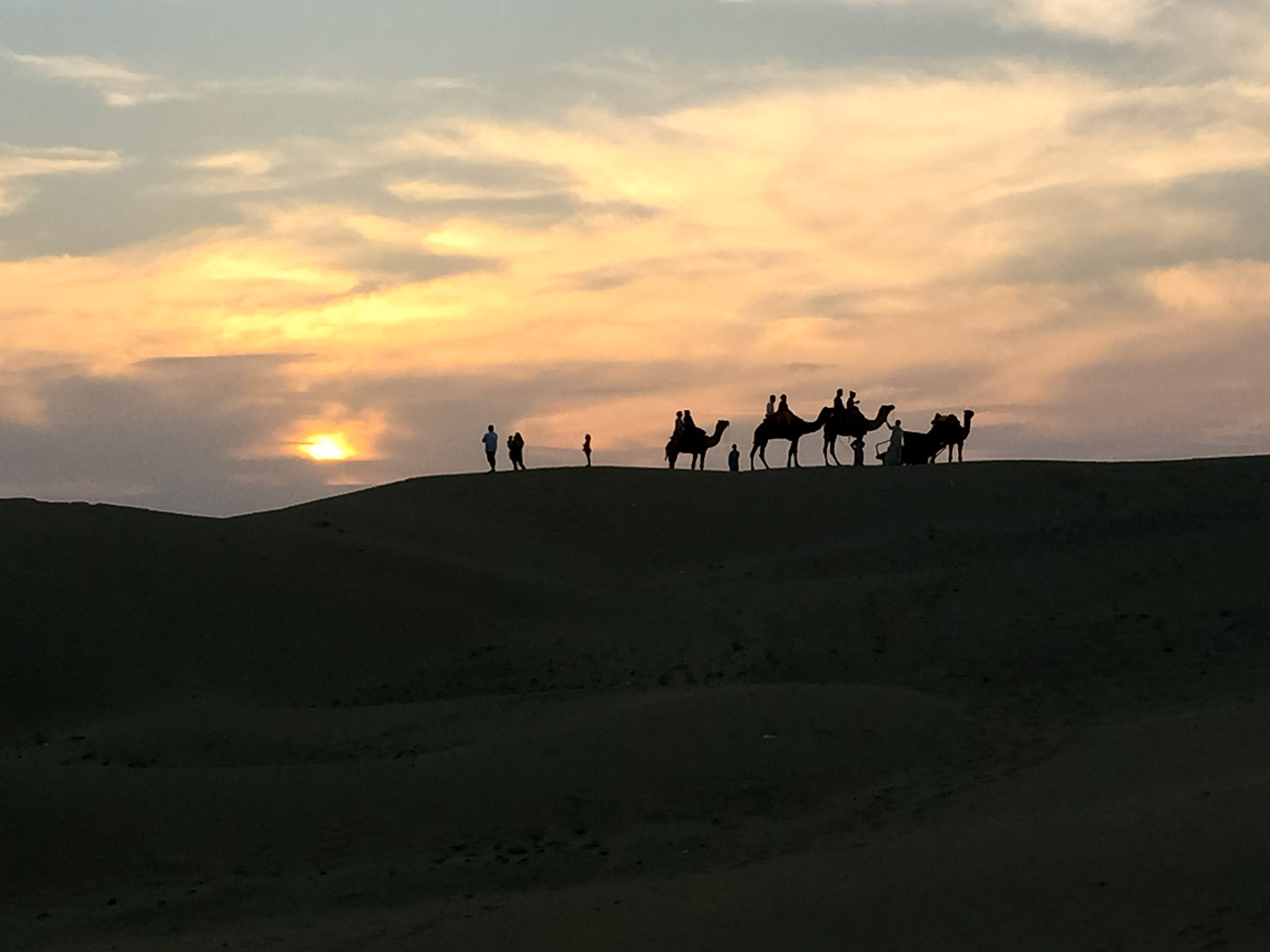 _2018-02-27__iPhone 6__ iPhone 6 back camera 4.15mm f/2.2__f/2.2__1/600 sec__Sam Road__Damodara__India__26°50'6.1512" N 70°32'33.81" E_