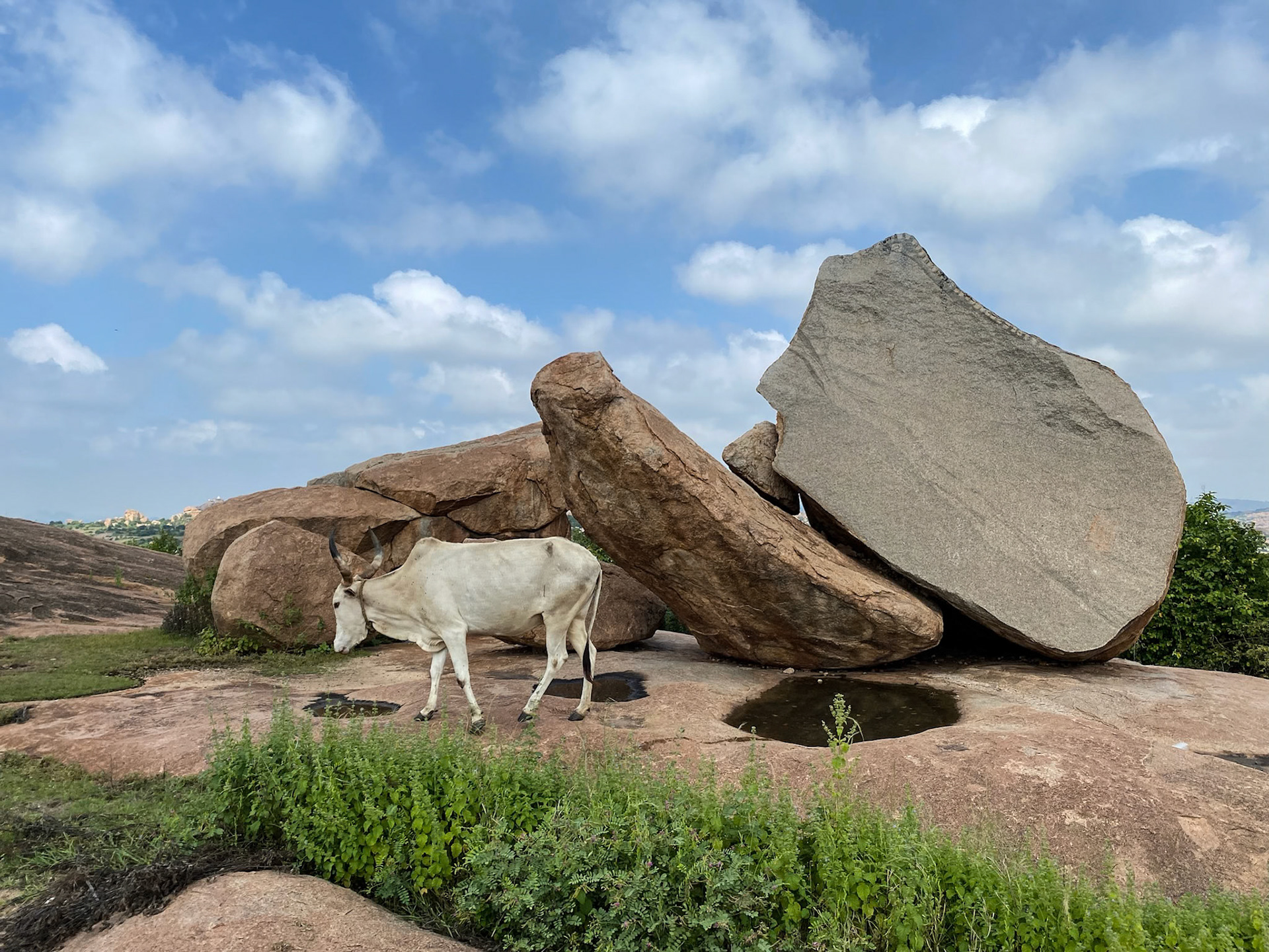 _2022-10-15__Apple__iPhone 11 Pro__ iPhone 11 Pro back triple camera 4.25mm f/1.8__f/1.8__1/3000 sec____Haampi__India__