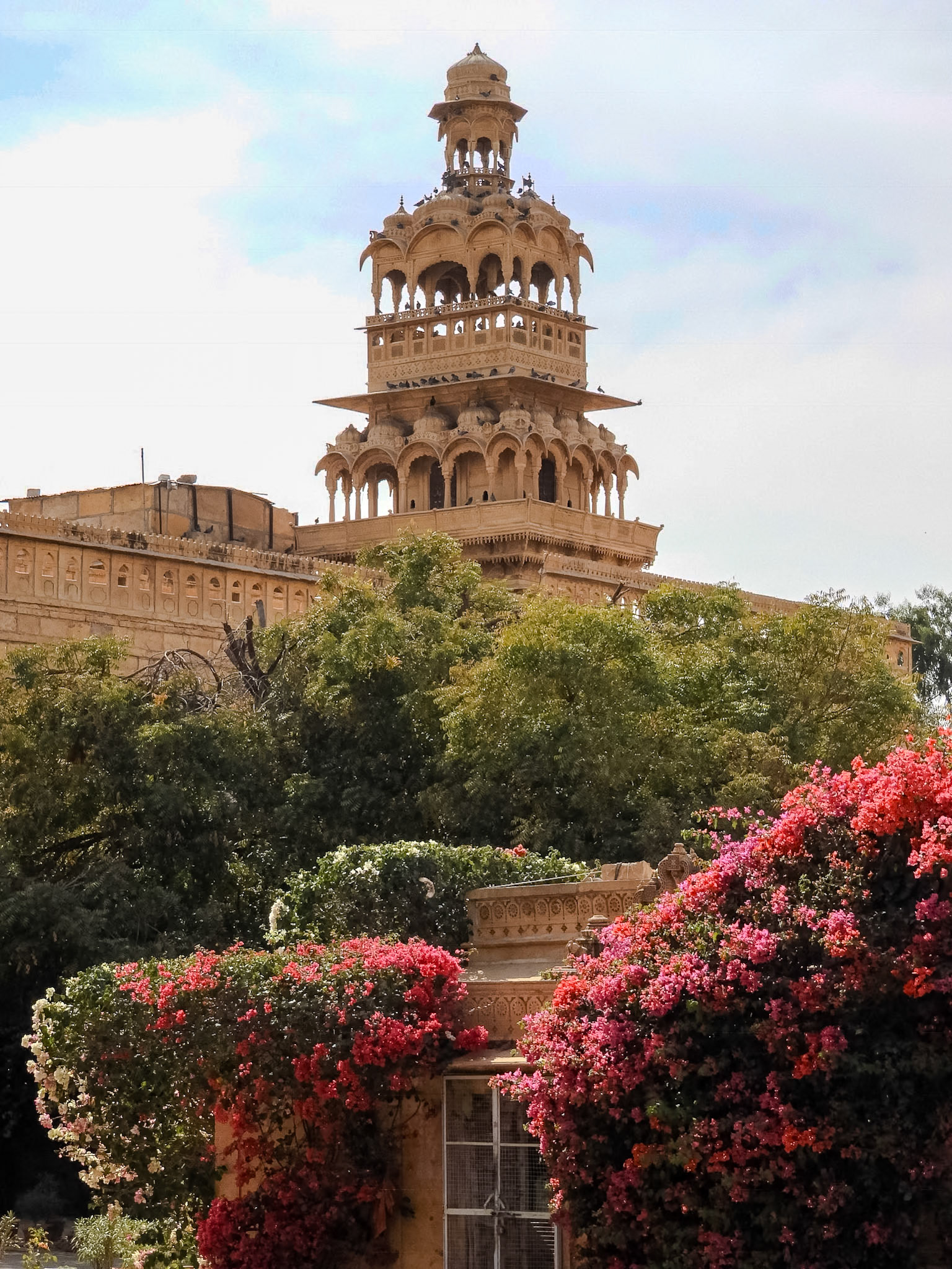 2018-02-28 14:47:19__f/4.8_1/800 sec____