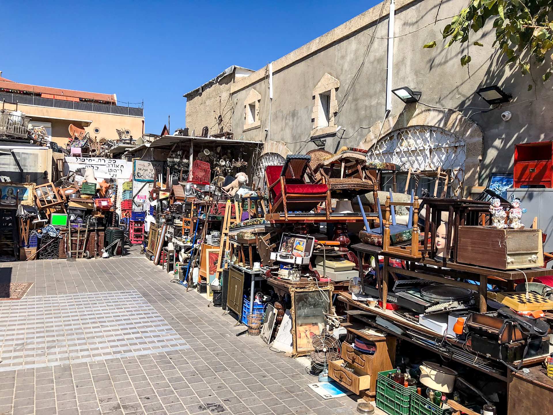 _2019-05-19__iPhone X__ iPhone X back dual camera 4mm f/1.8__f/1.8__1/2000 sec_________