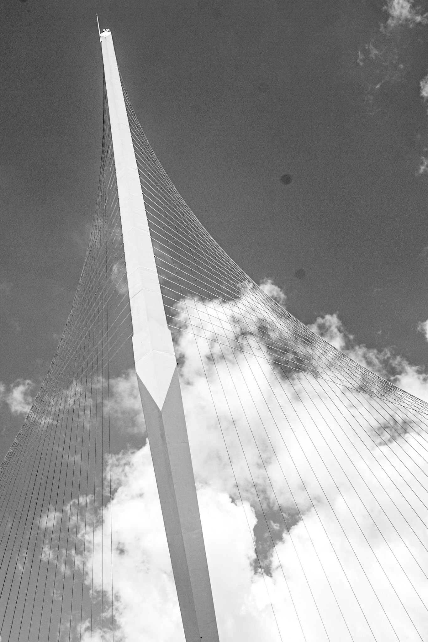 2011-01-24 04:01:18__f/13_1/250 sec_Chords Bridge_Jerusalem_Israel_