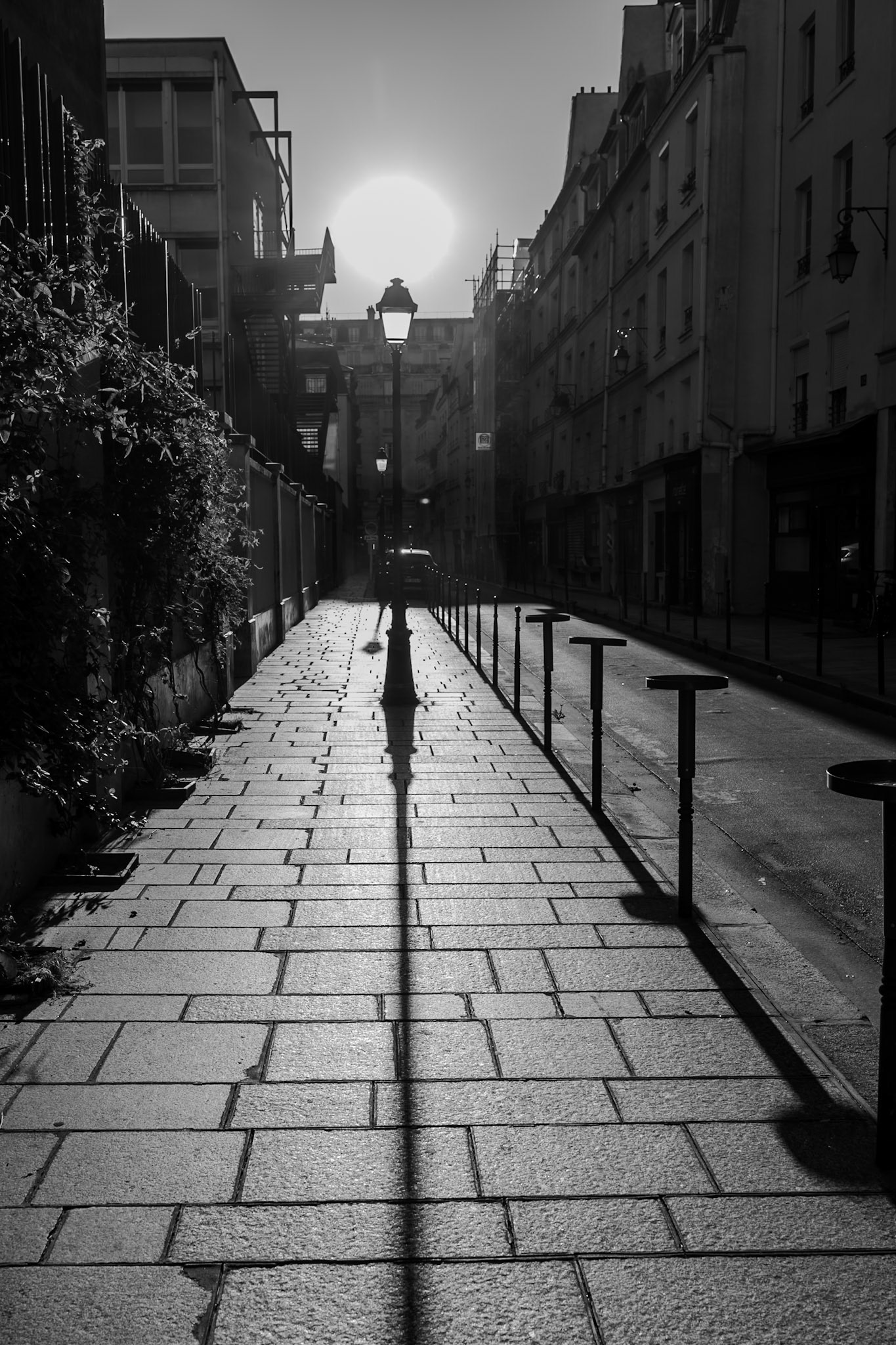 _2025-06-29__Canon__Canon EOS R3__ RF15-35mm F2.8 L IS USM__f/7.1__1/400 sec__Rue du Vertbois__Paris__France__48°52'2.0028" N 2°21'25.3152" E